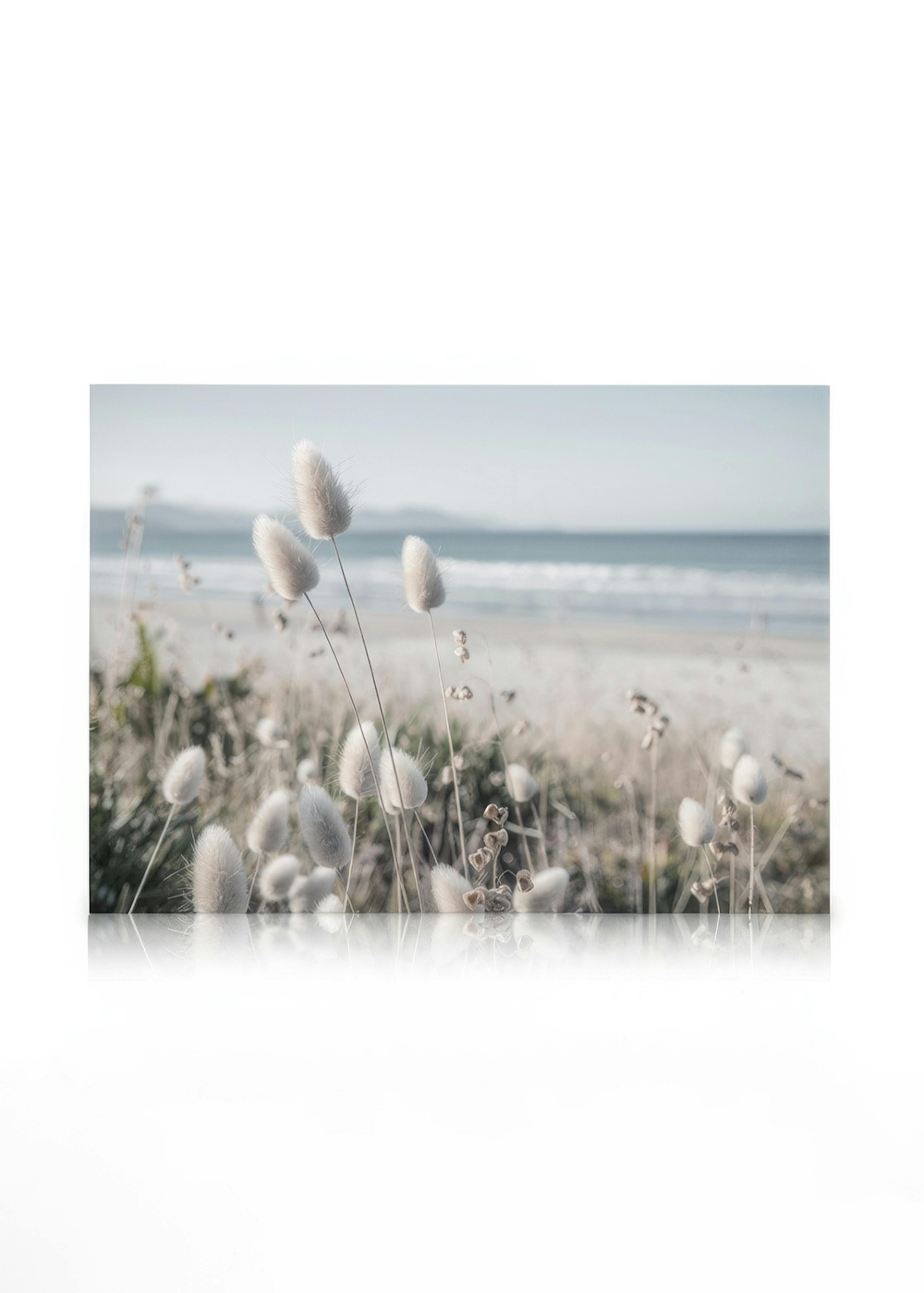 Beach Dune Grass Canvas 0