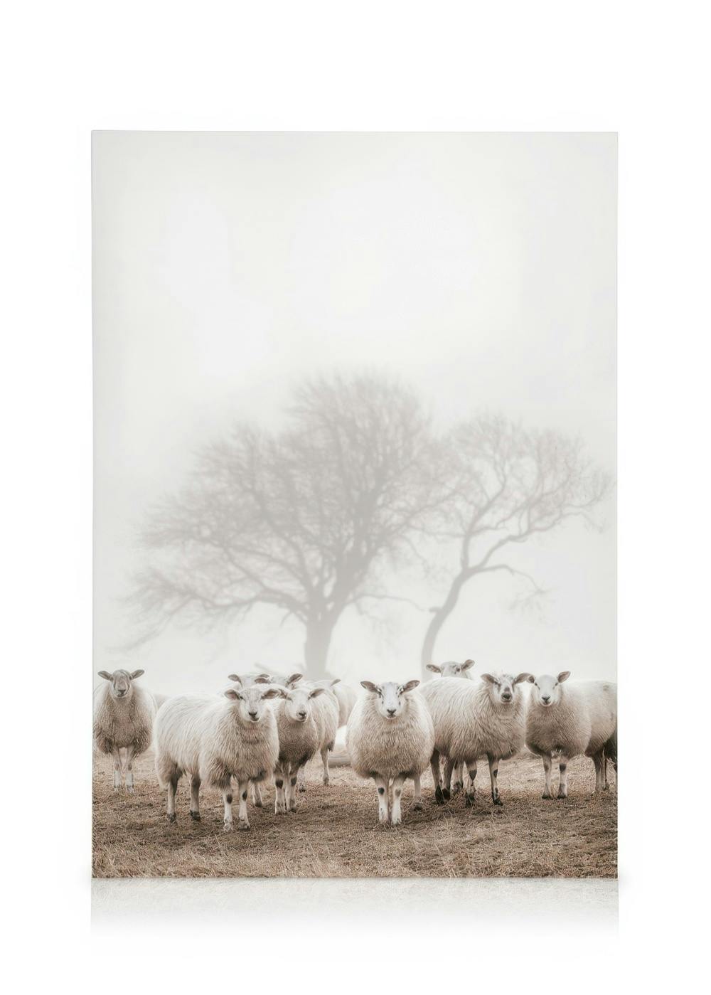 Canvas Schilderijen Sheep Herd Canvas (30x40 cm - Fotolijst Zwart)