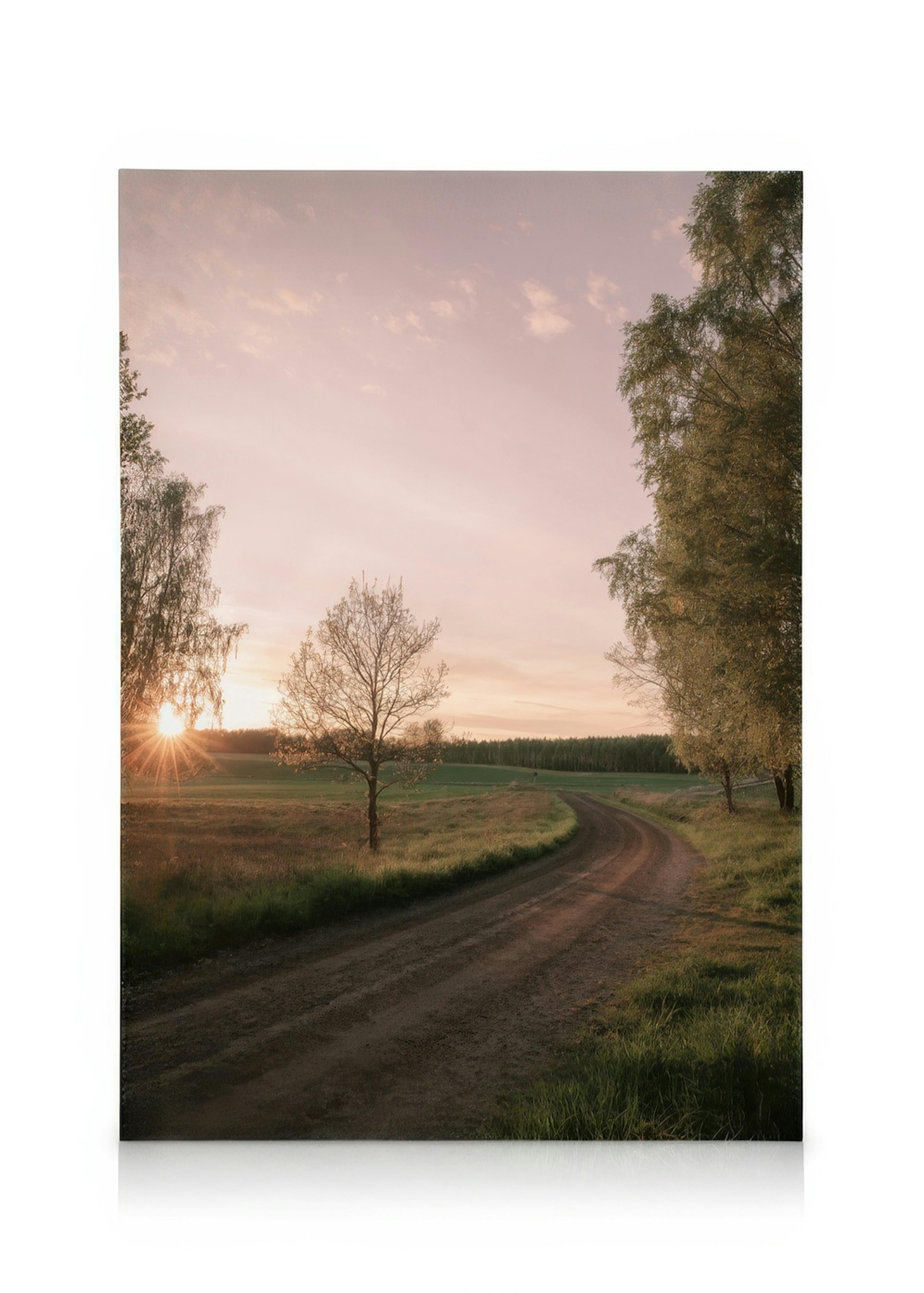 Estrada de terra serpenteando em campo verde, árvores e sol poente. Arte de parede serena para decoração de casa.