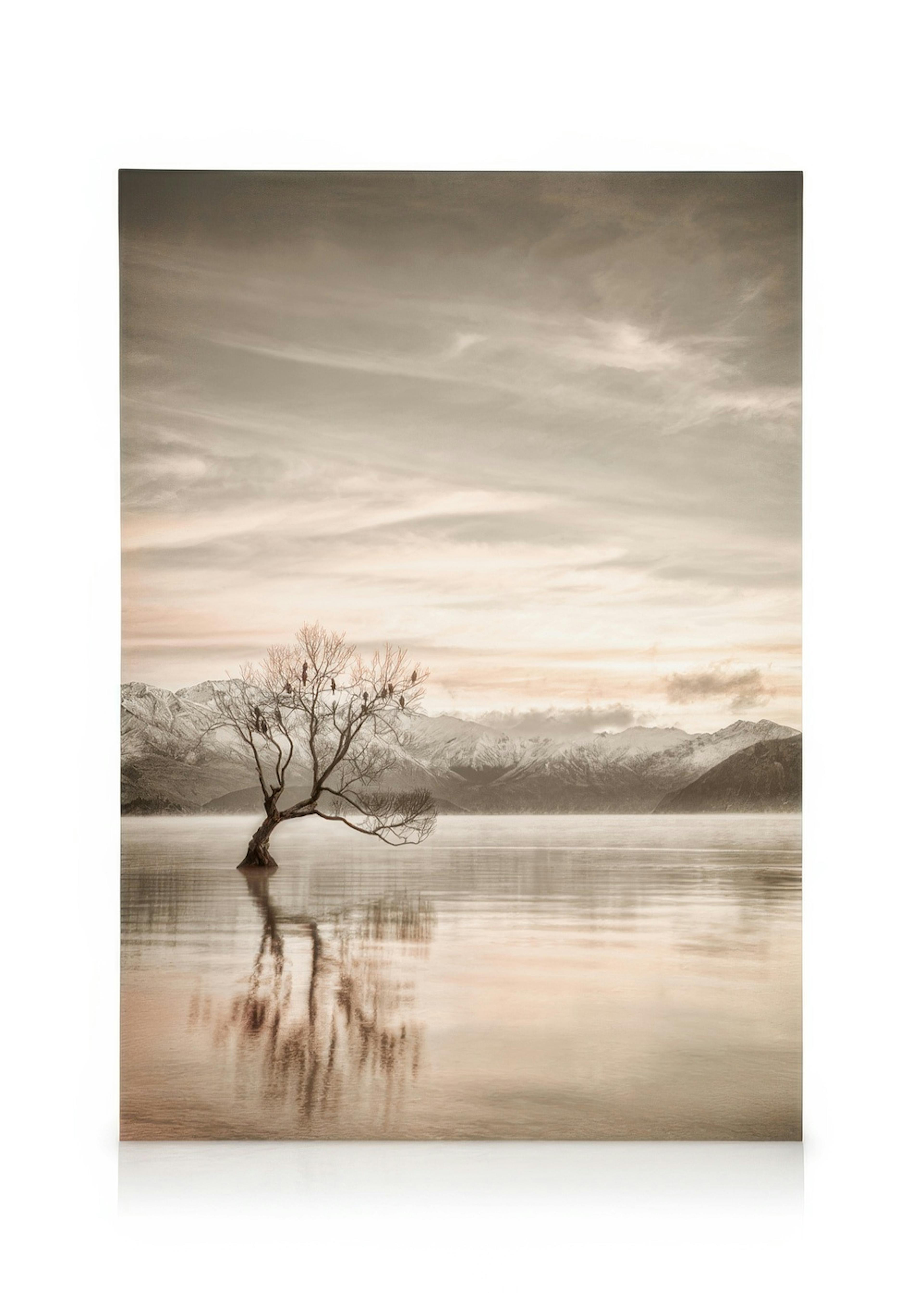 Lake Wanaka Otago Canvas print 0
