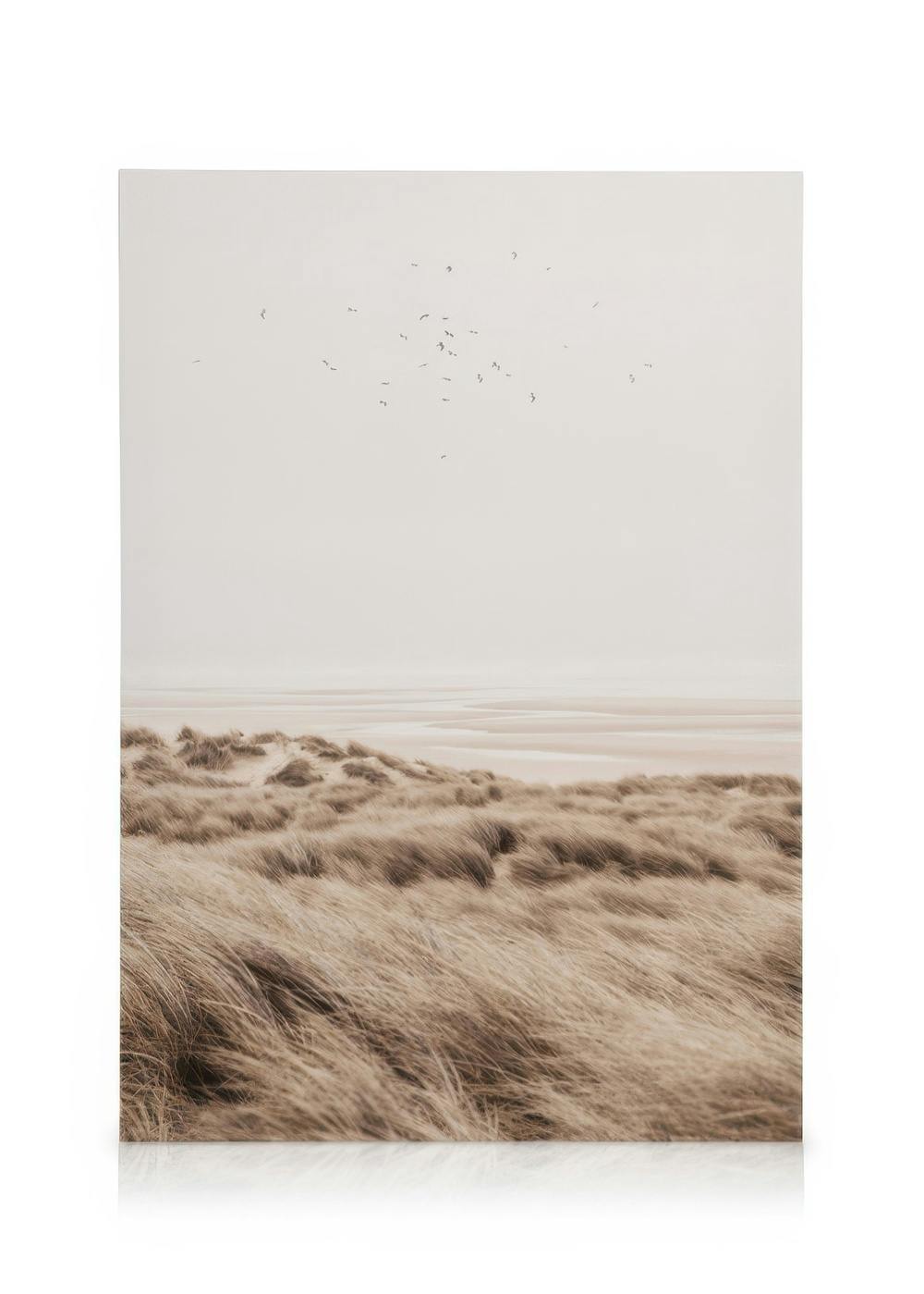 Beige sand dunes canvas print with soft grass, gentle waves, and birds in a serene landscape.