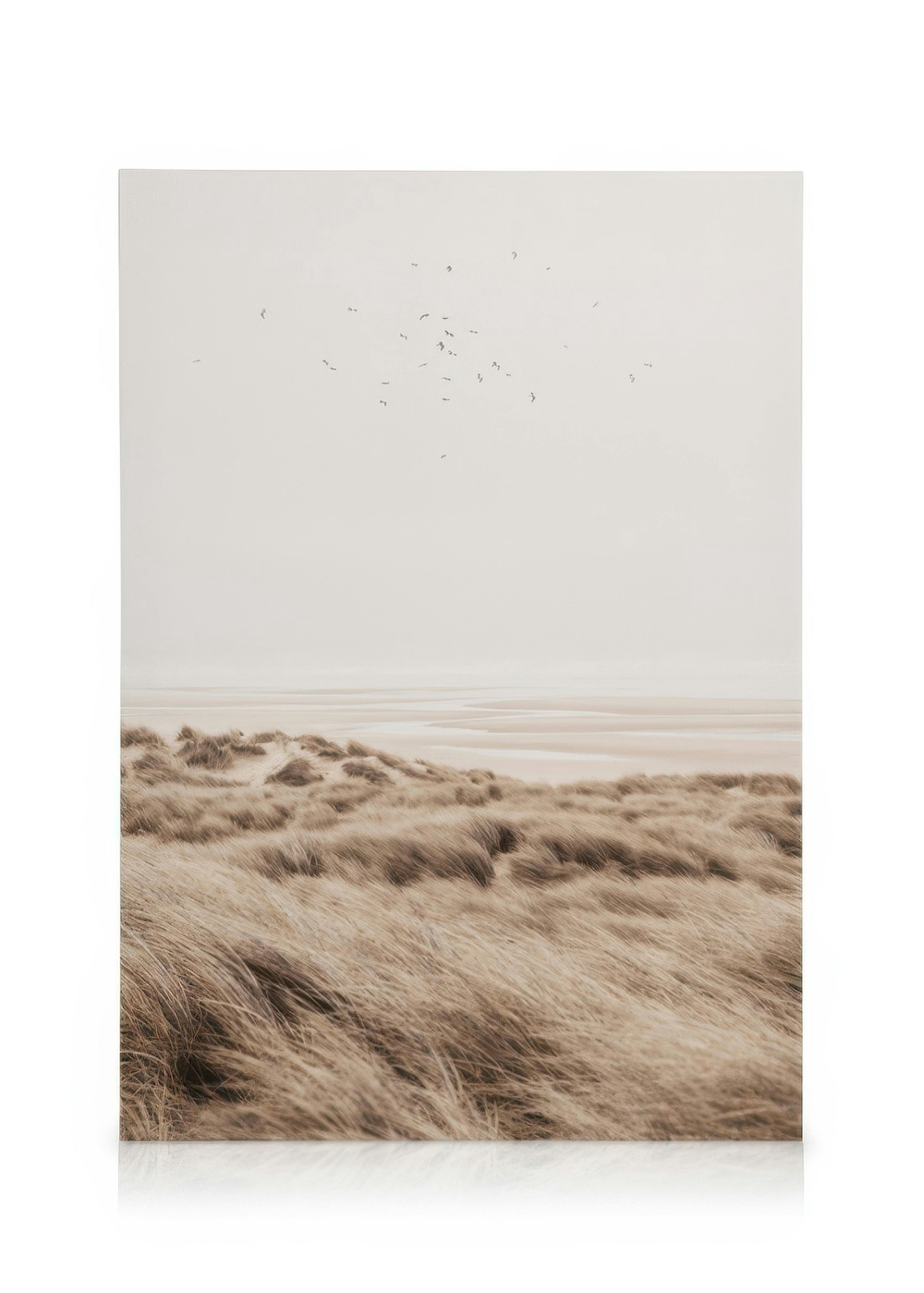 Beige sand dunes canvas print with soft grass, gentle waves, and birds in a serene landscape.