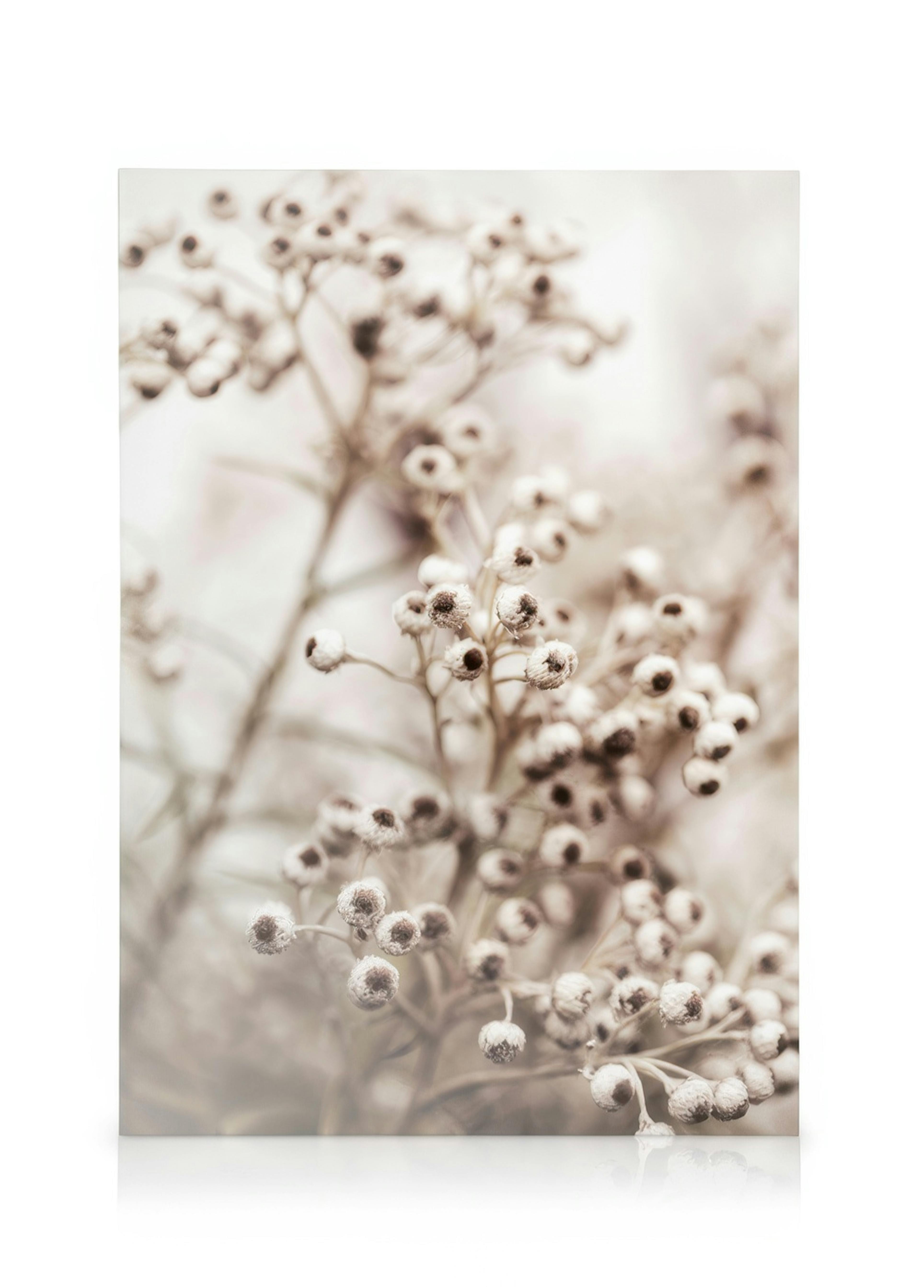 Beige Botanical Bokeh No2 Leinwandbild 0