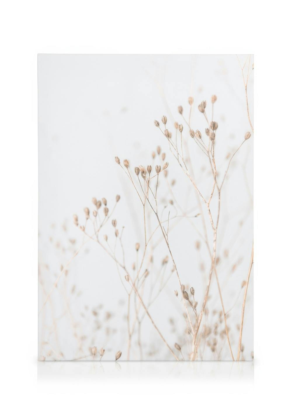 Canvas Prints Grass In Soft Tones Canvas print (50x70 cm)