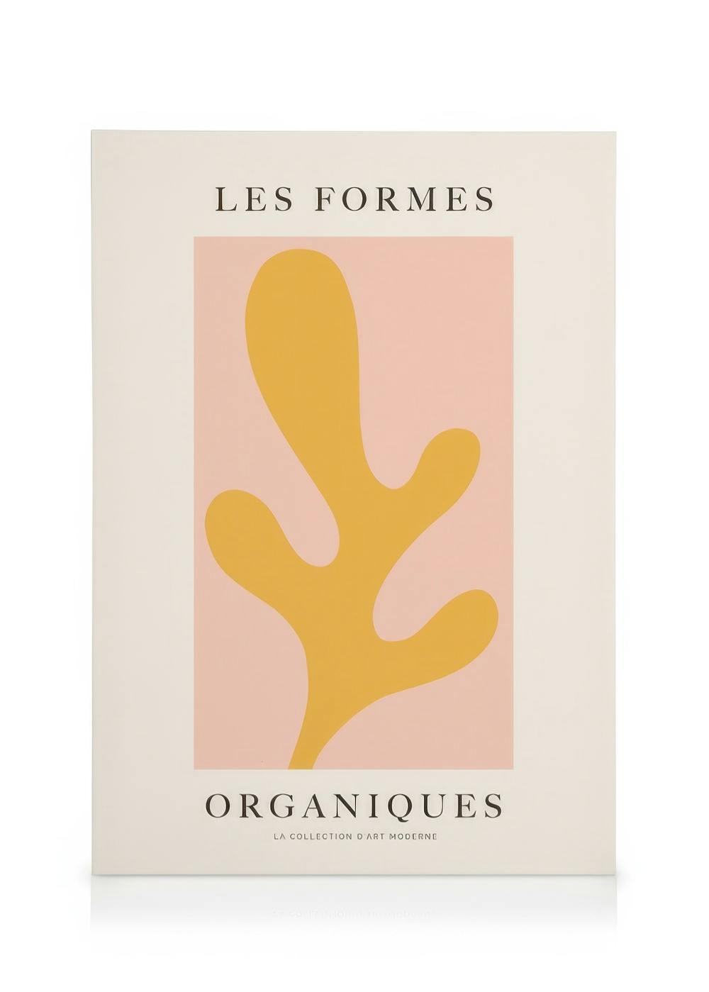 Canvas Prints Les Formes Organiques Canvas print (50x70 cm)