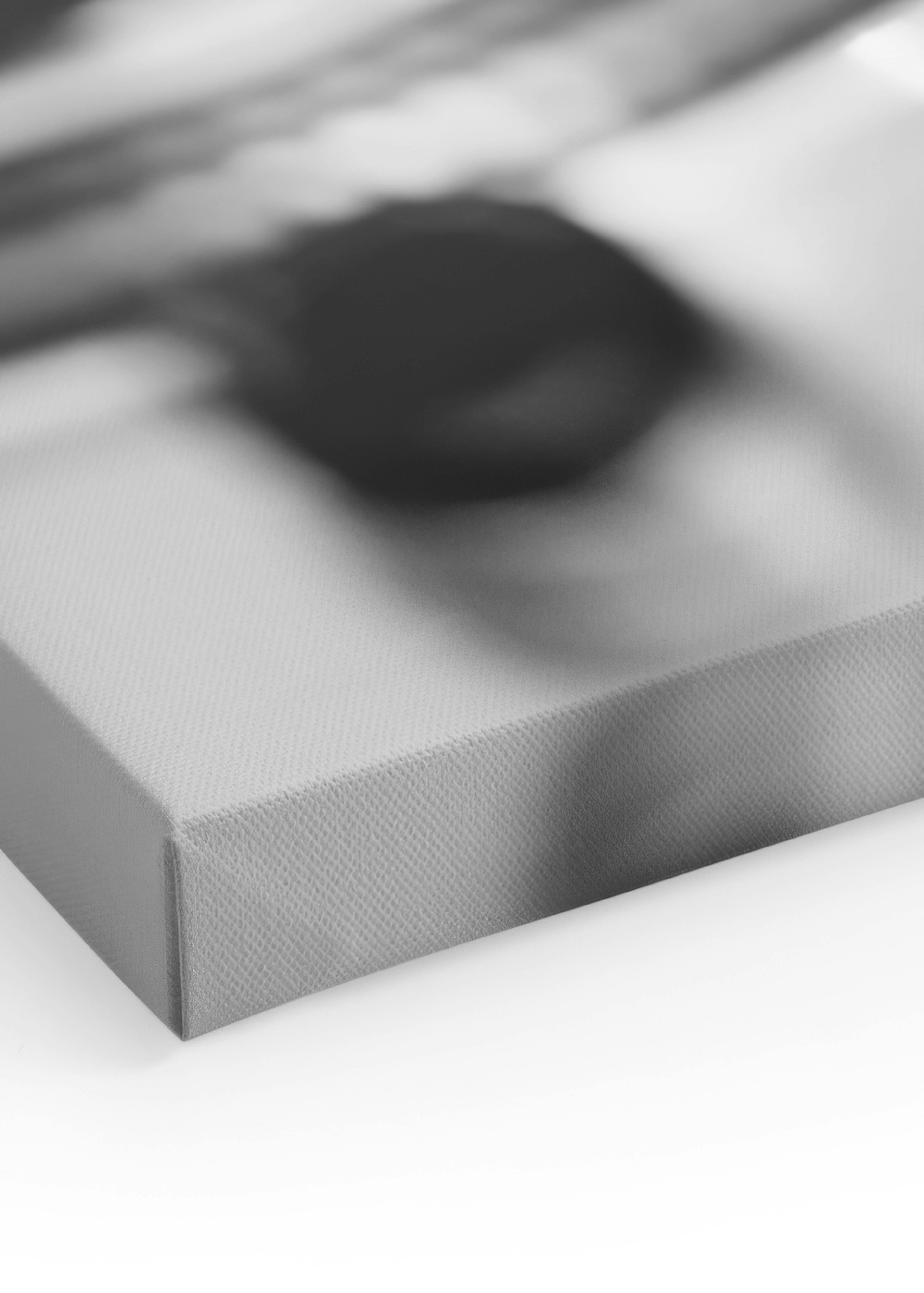Vinyl Record Canvas print