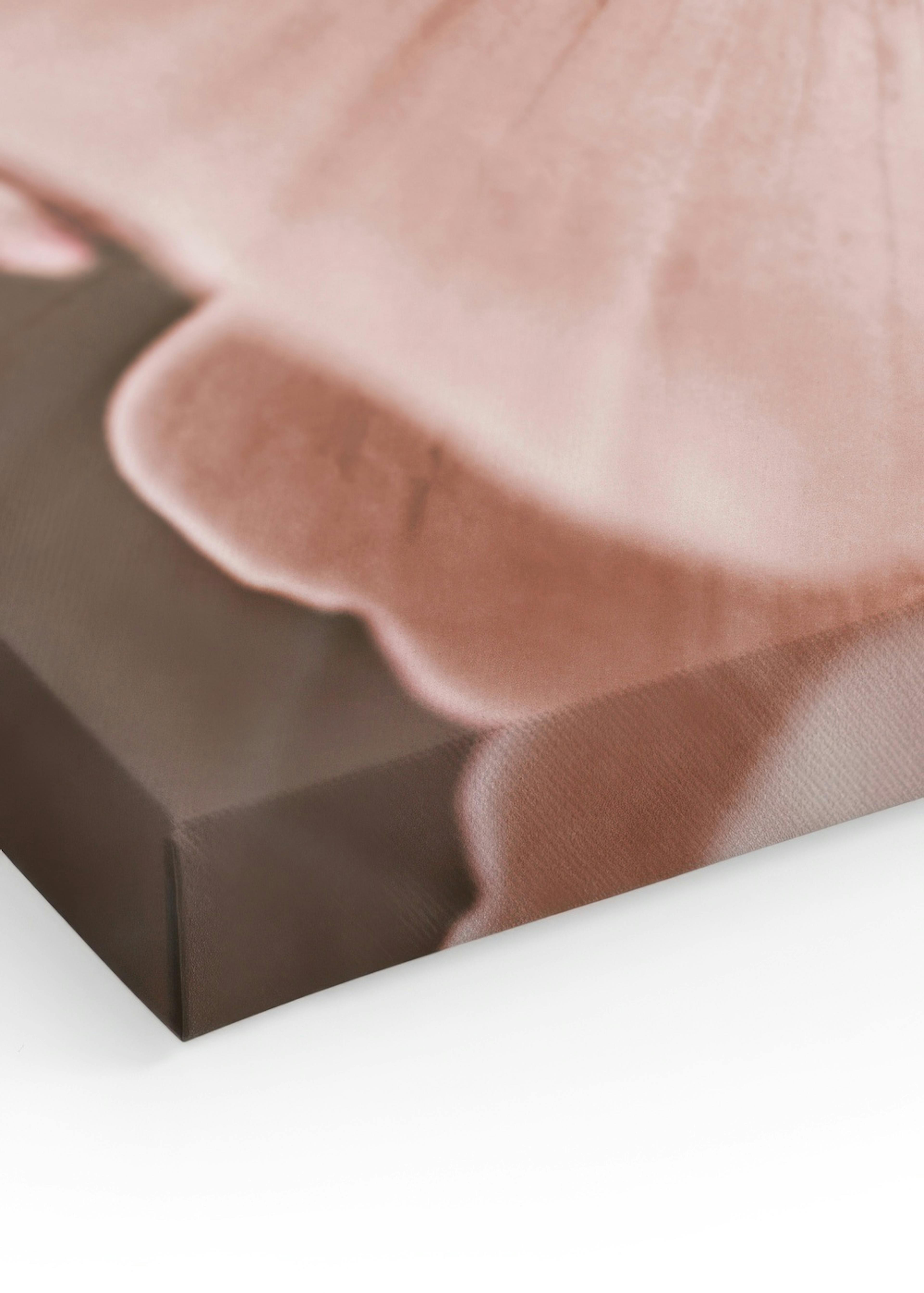 Lovely Pink Flowers Tableau sur toile