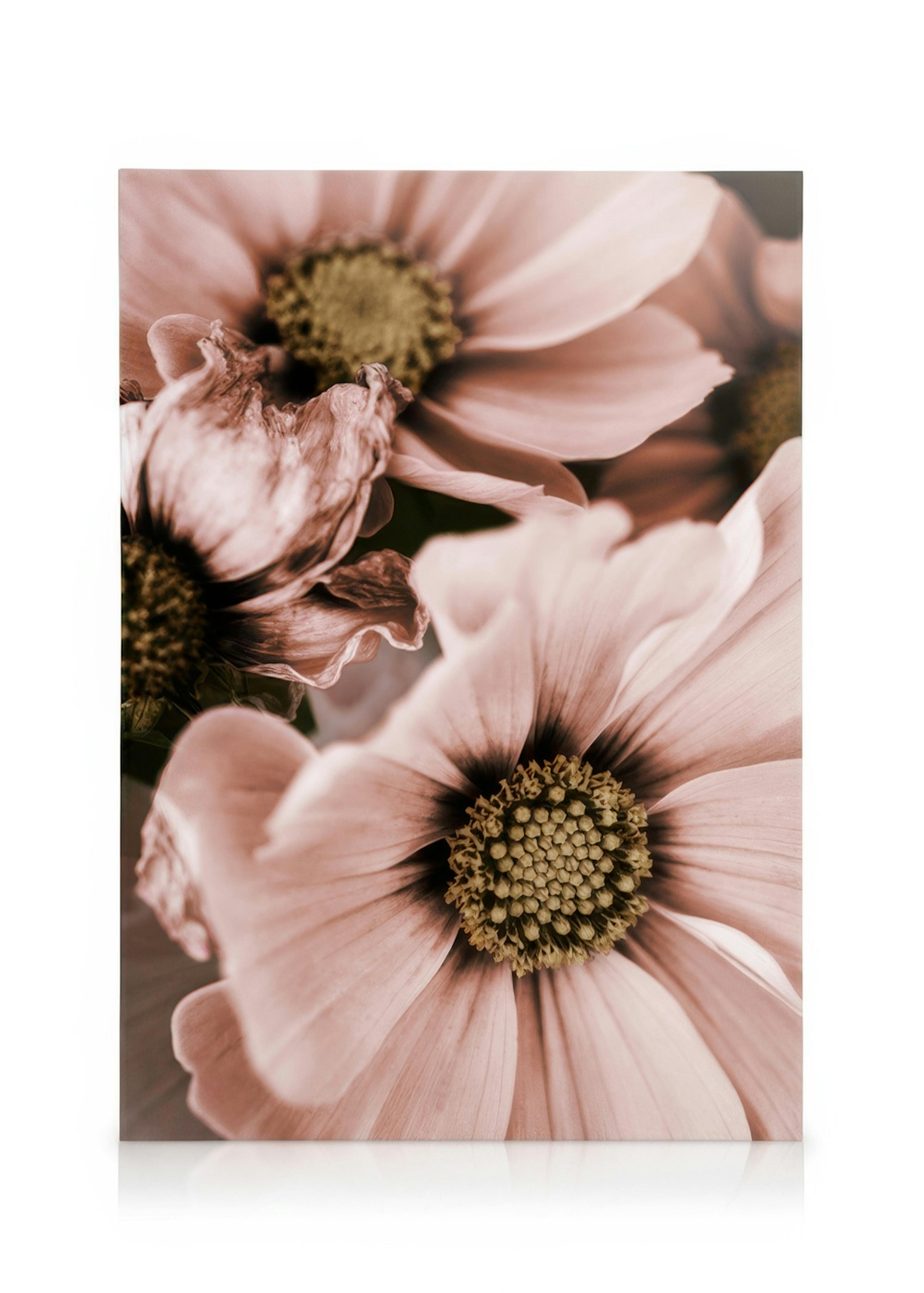 Lovely Pink Flowers Καμβά 0
