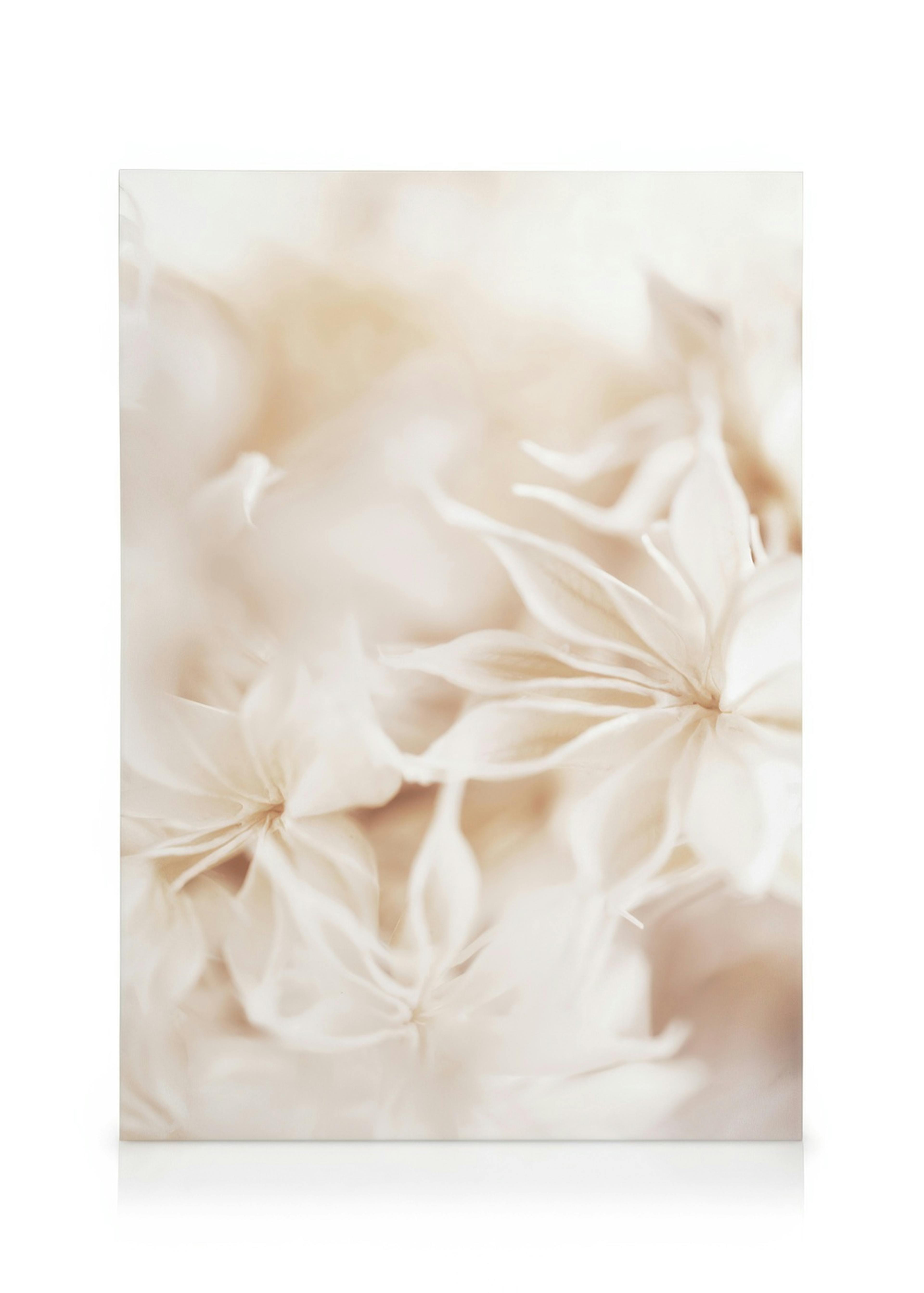 Floral Bokeh Leinwandbild 0