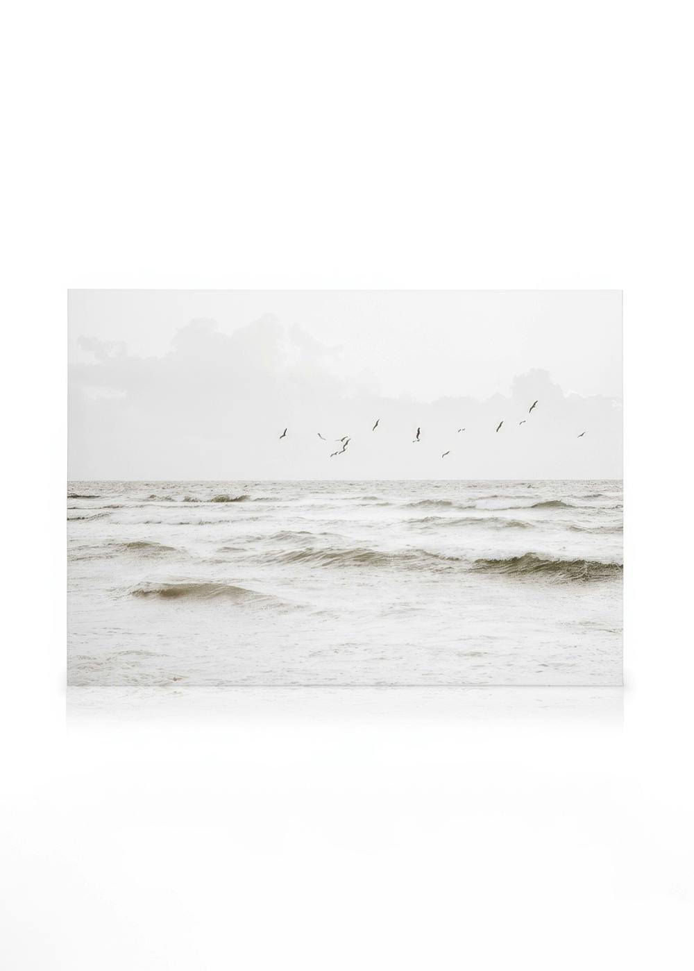 Leinwandbilder Flock of Seabirds Leinwandbild (30x40 cm - Holzrahmen schwarz)