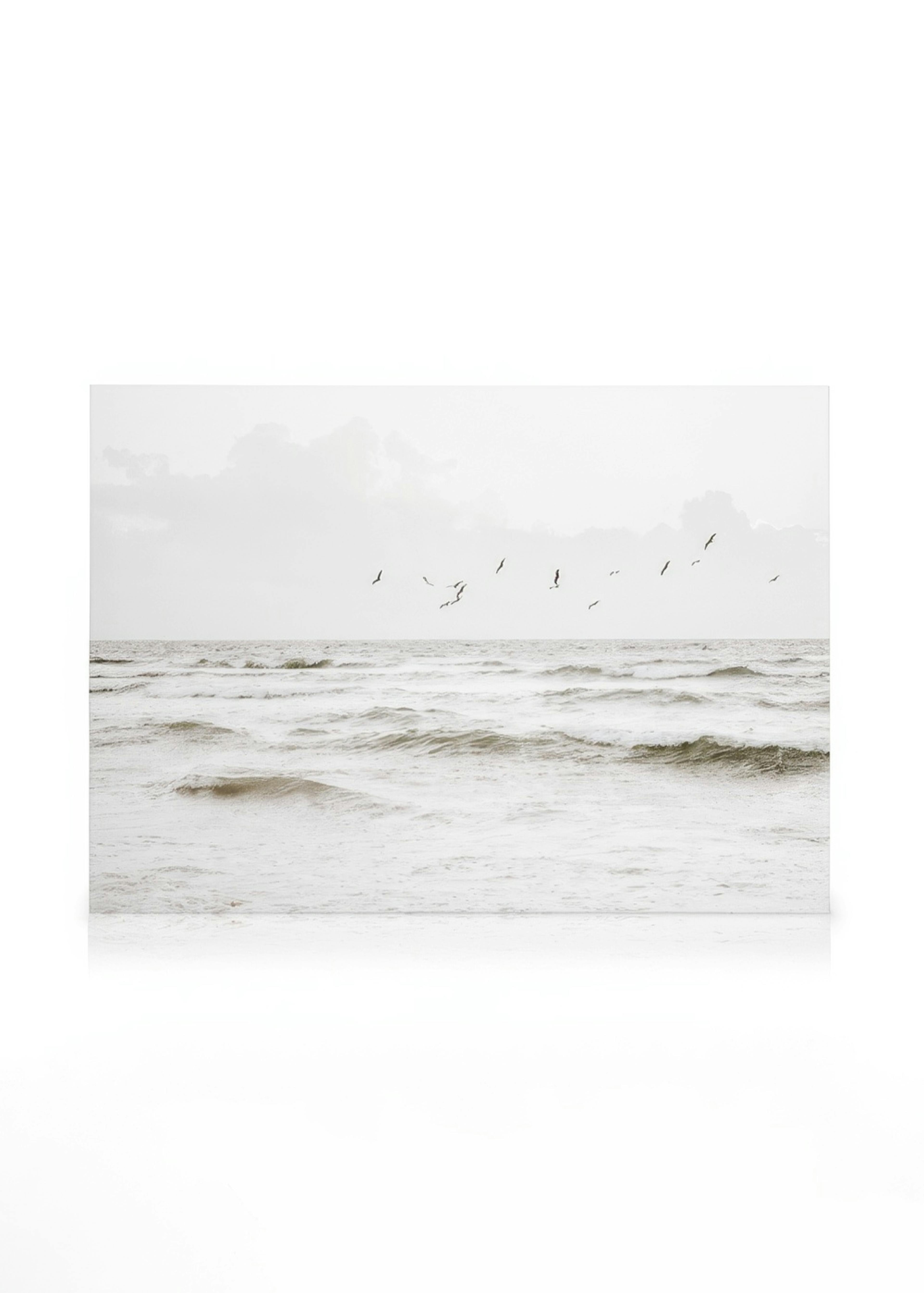 Flock of Seabirds Toile 0
