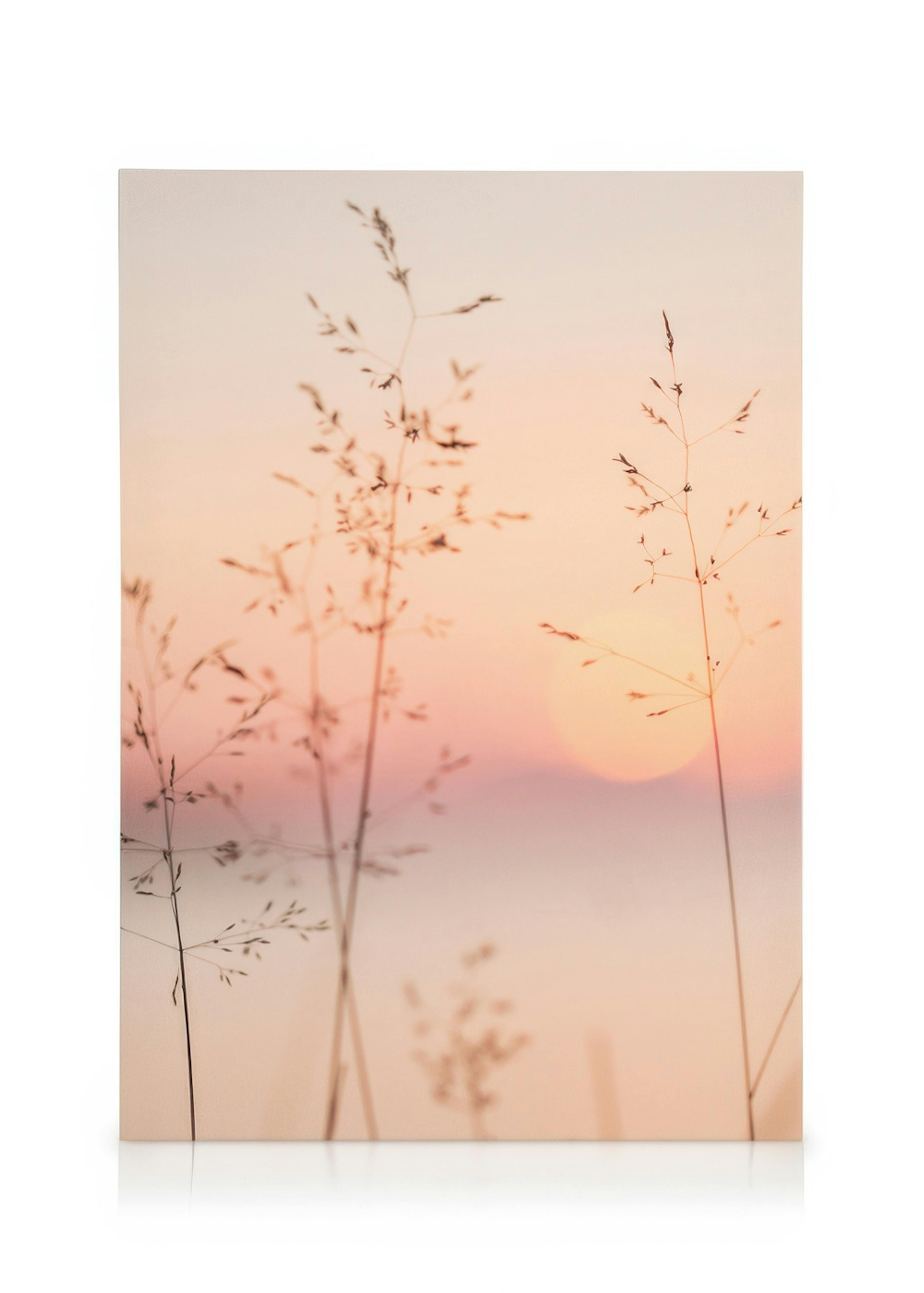 Pastel Sunset Leinwandbild 0