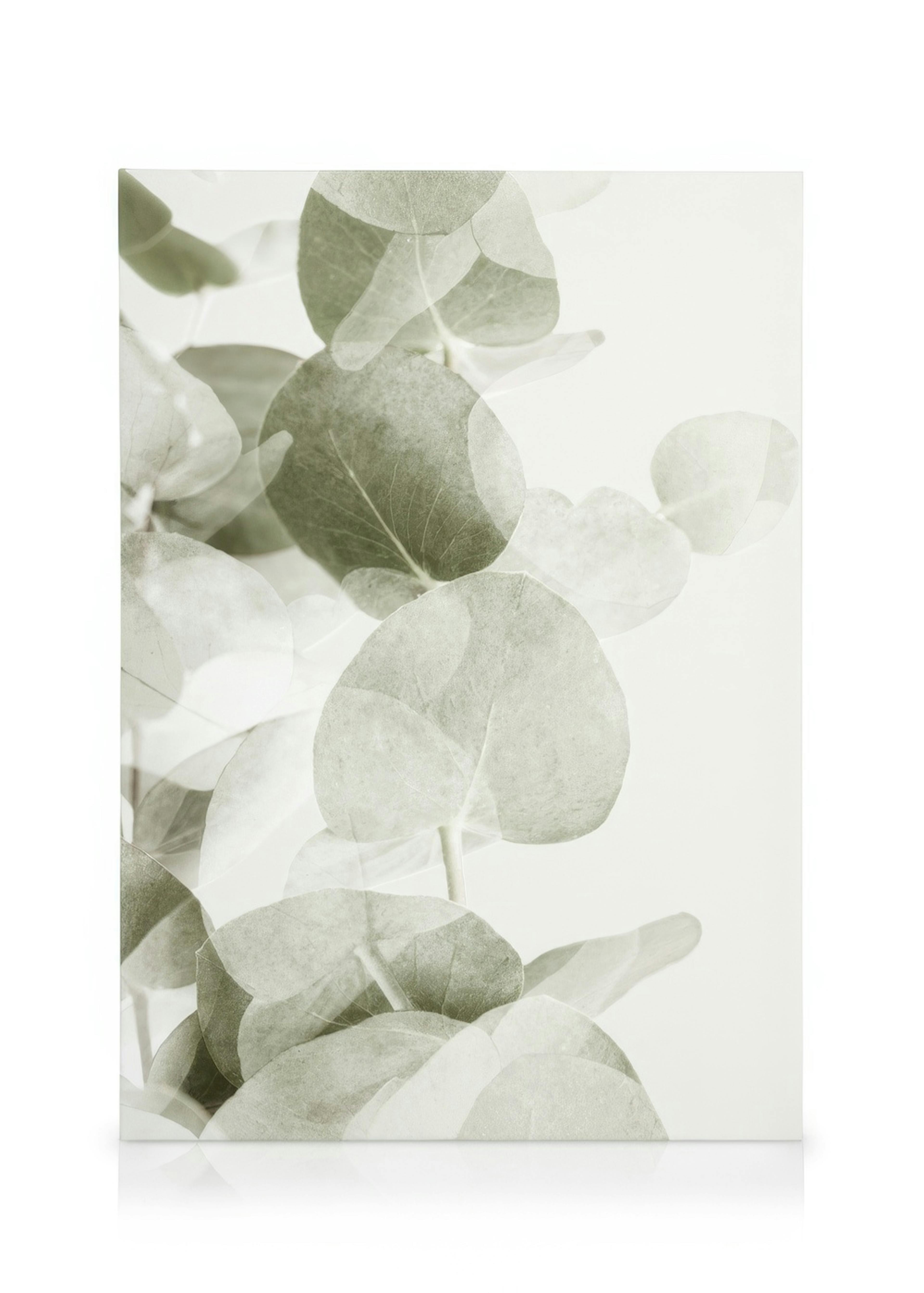 Abstract Eucalyptus No1 Tela 0