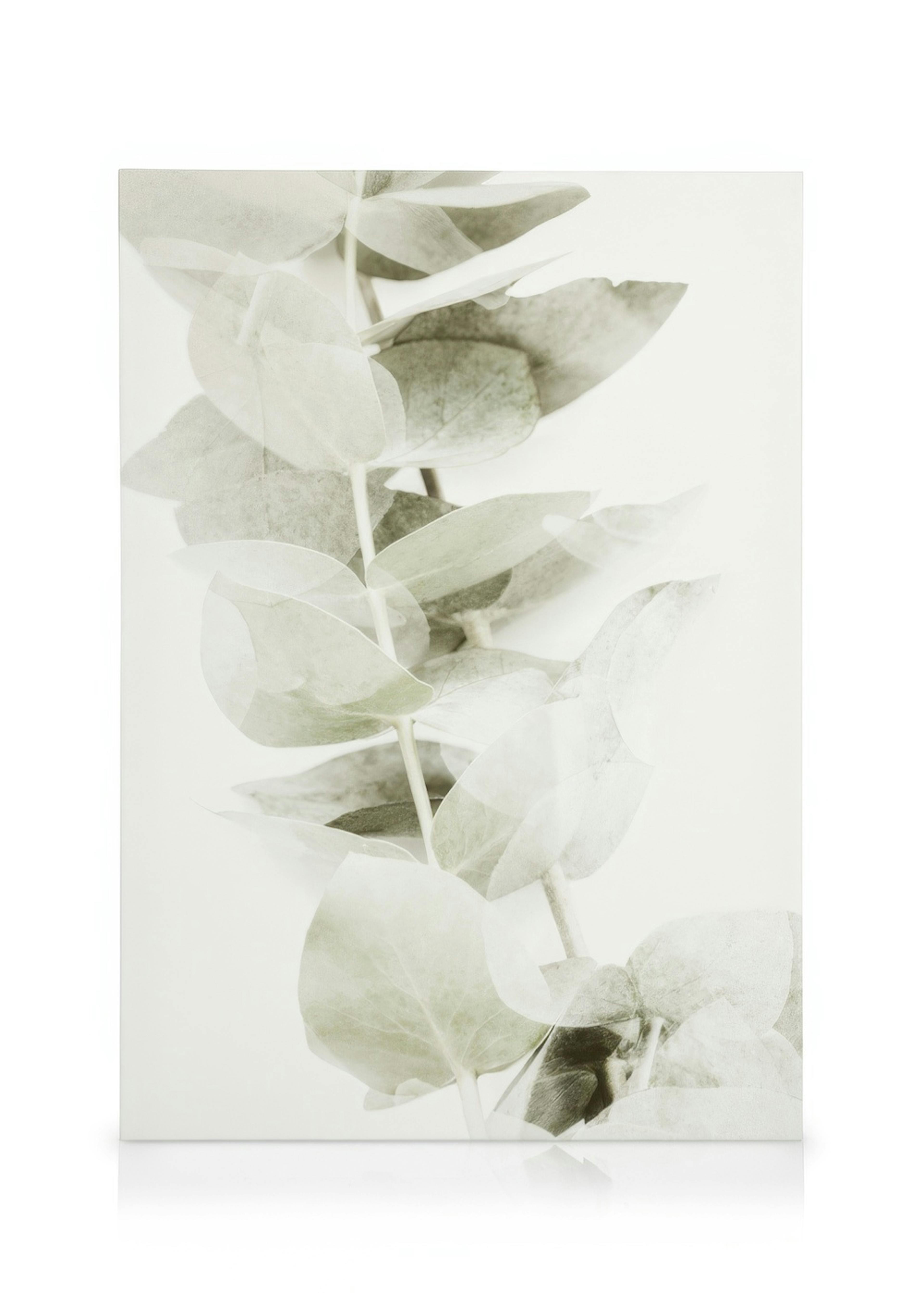 Abstract Eucalyptus No2 Canvas 0