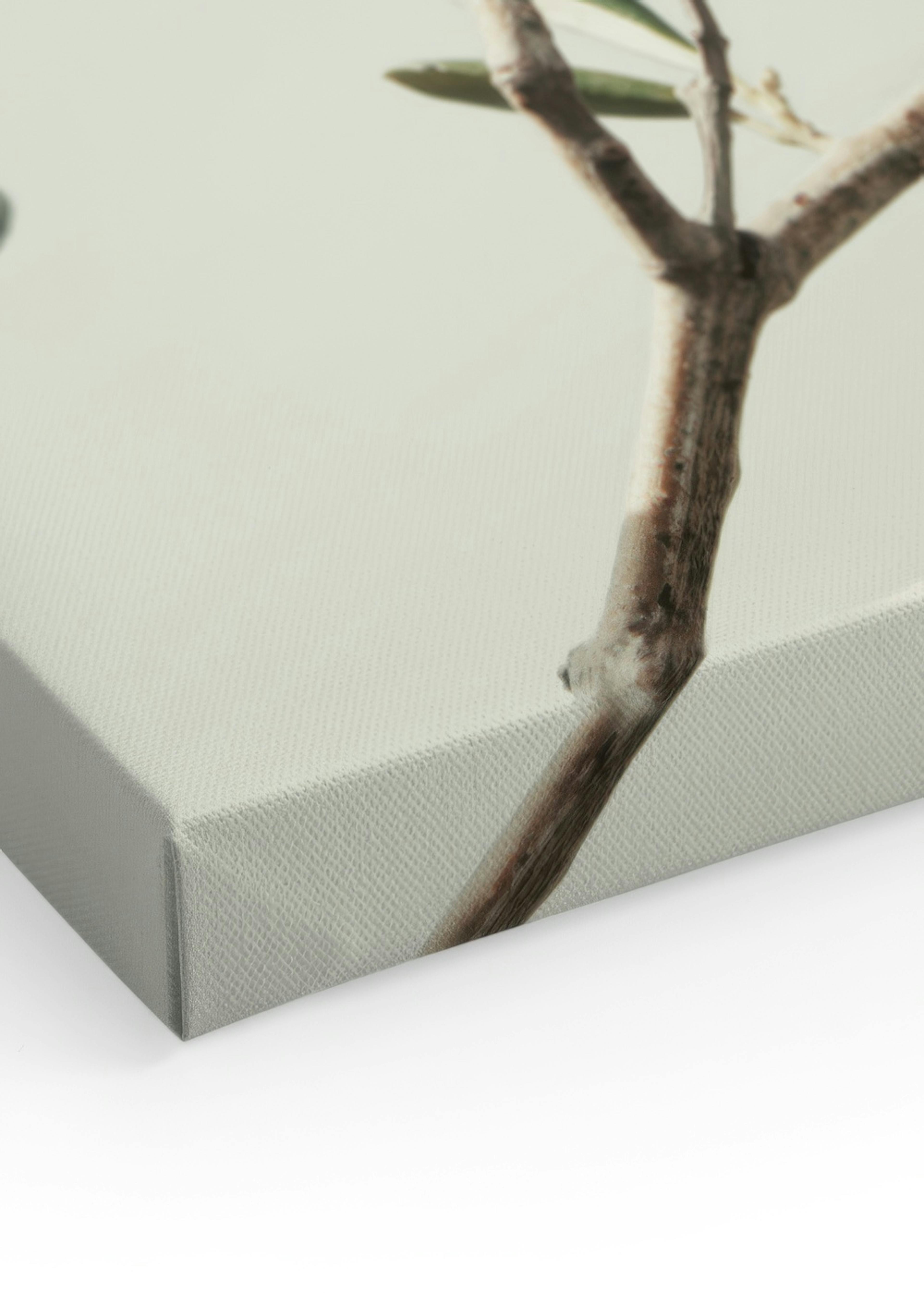 Product image: 3