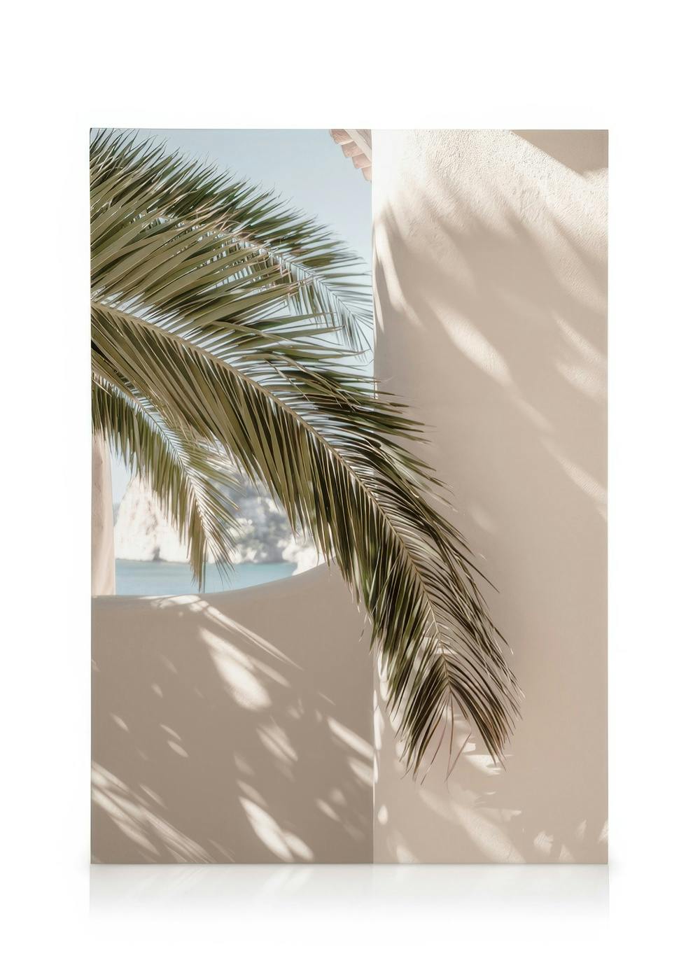 Canvas Prints Tropical Shadow Canvas print (50x70 cm)