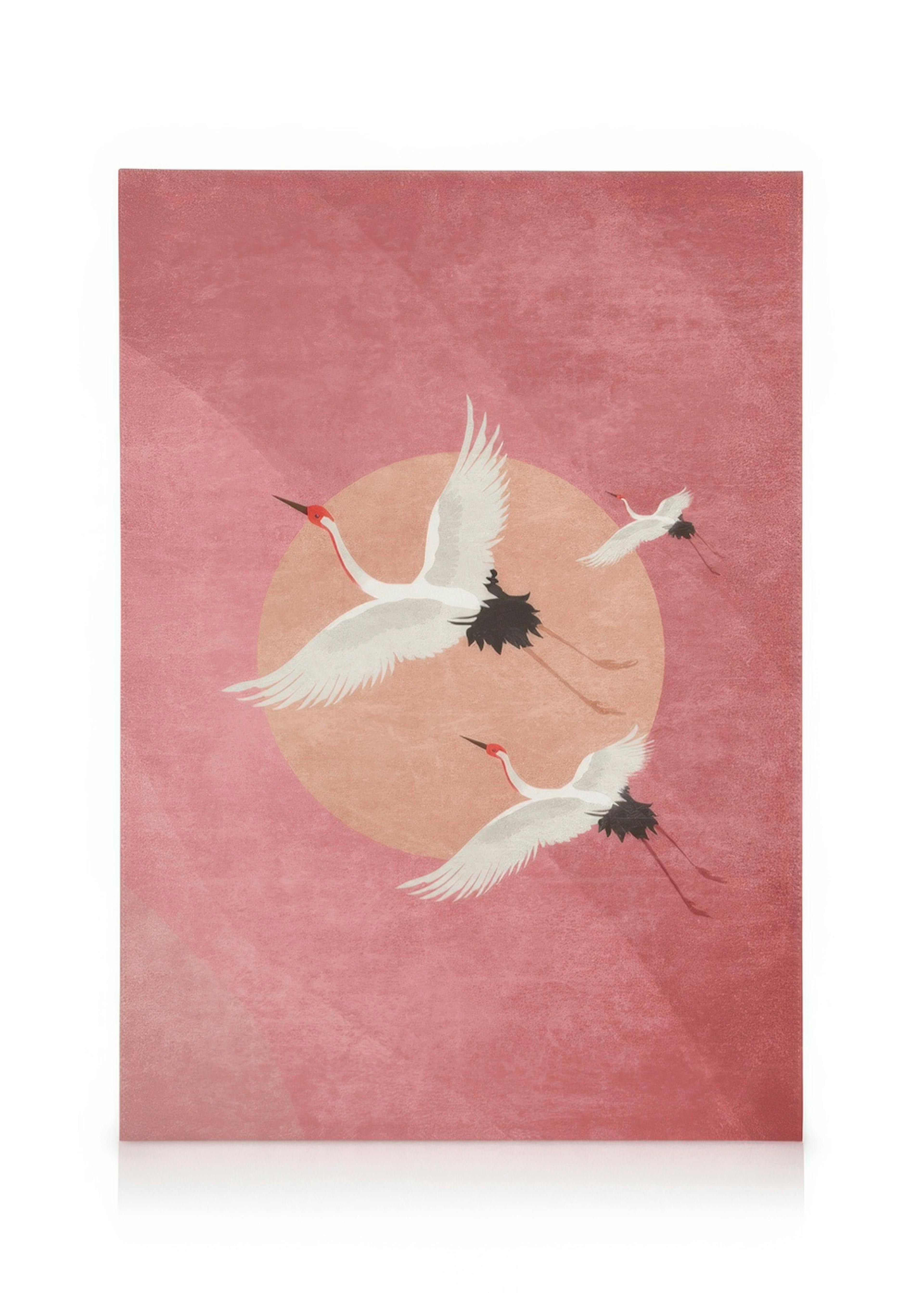 Flying Cranes Lienzo 0