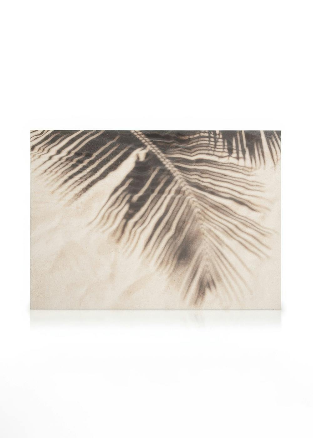 Obrazy na płótnie Tropical Shadow Obraz na płótnie (50x70 cm - Czarna ramka)