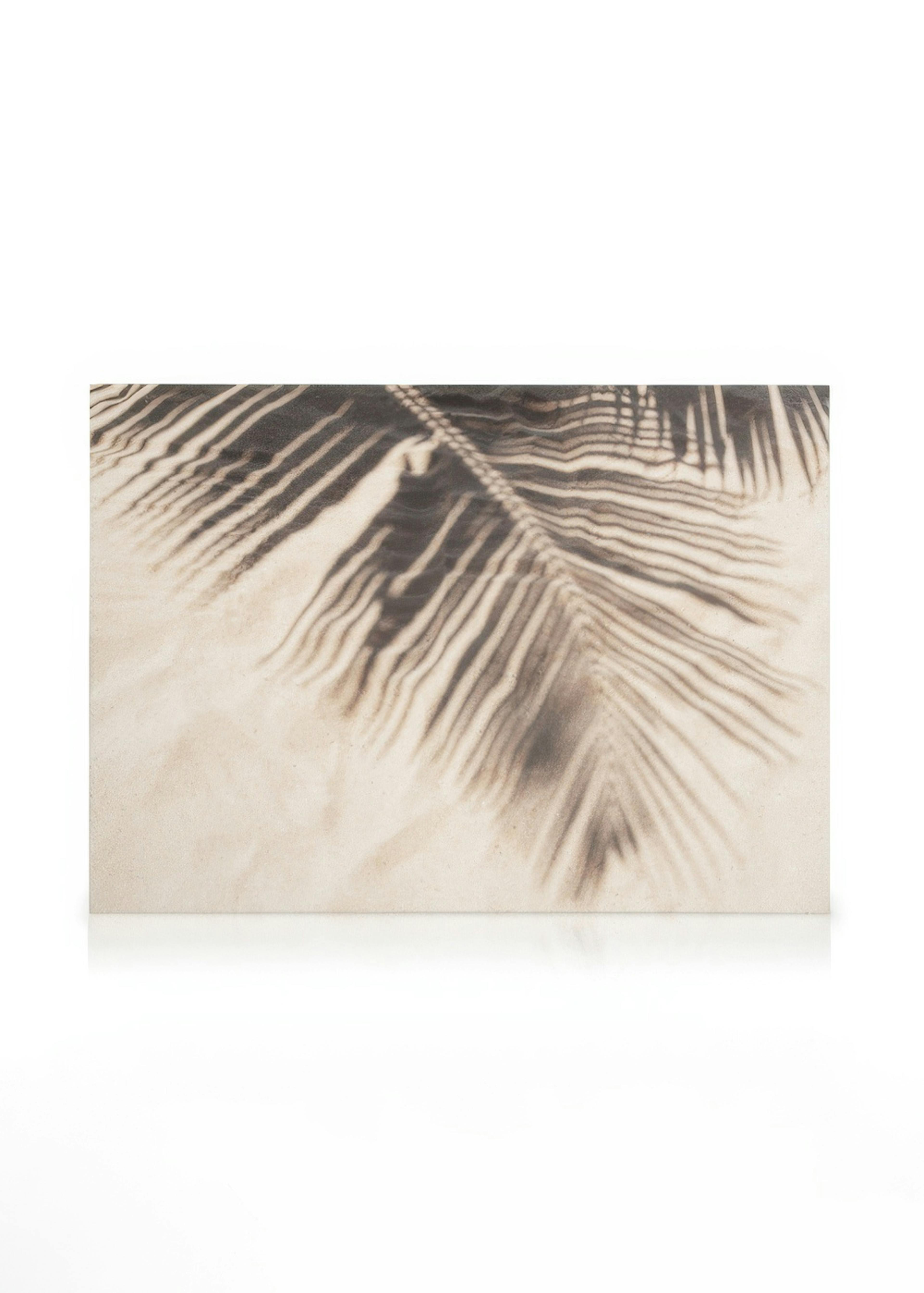 Tropical Shadow Canvas 0