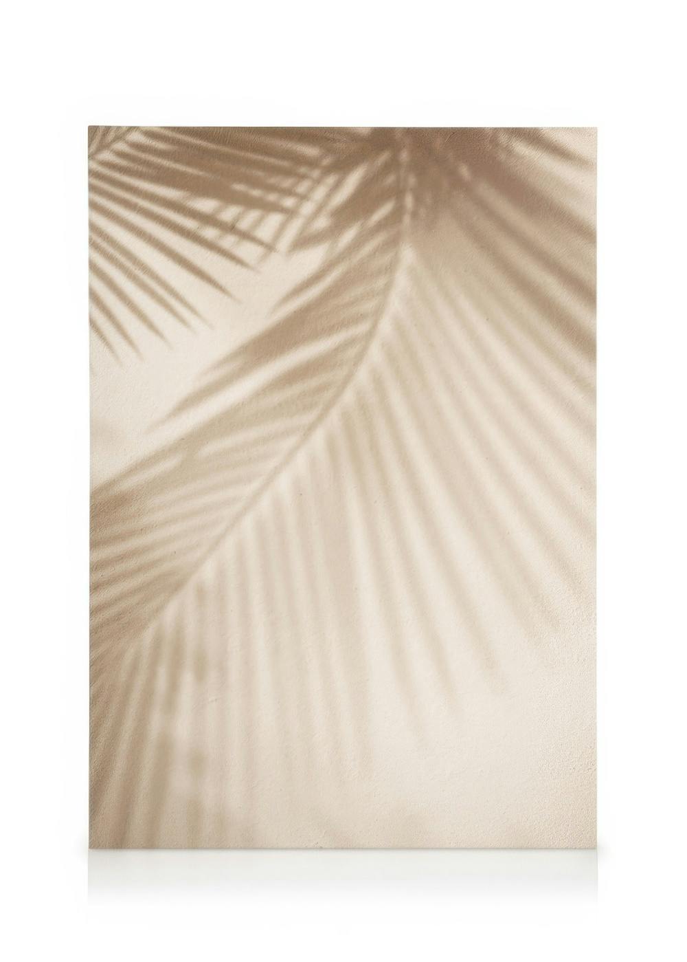 Leinwandbild mit Schatten eines Palmblatts auf hellem Hintergrund, minimalistisches Wandbild