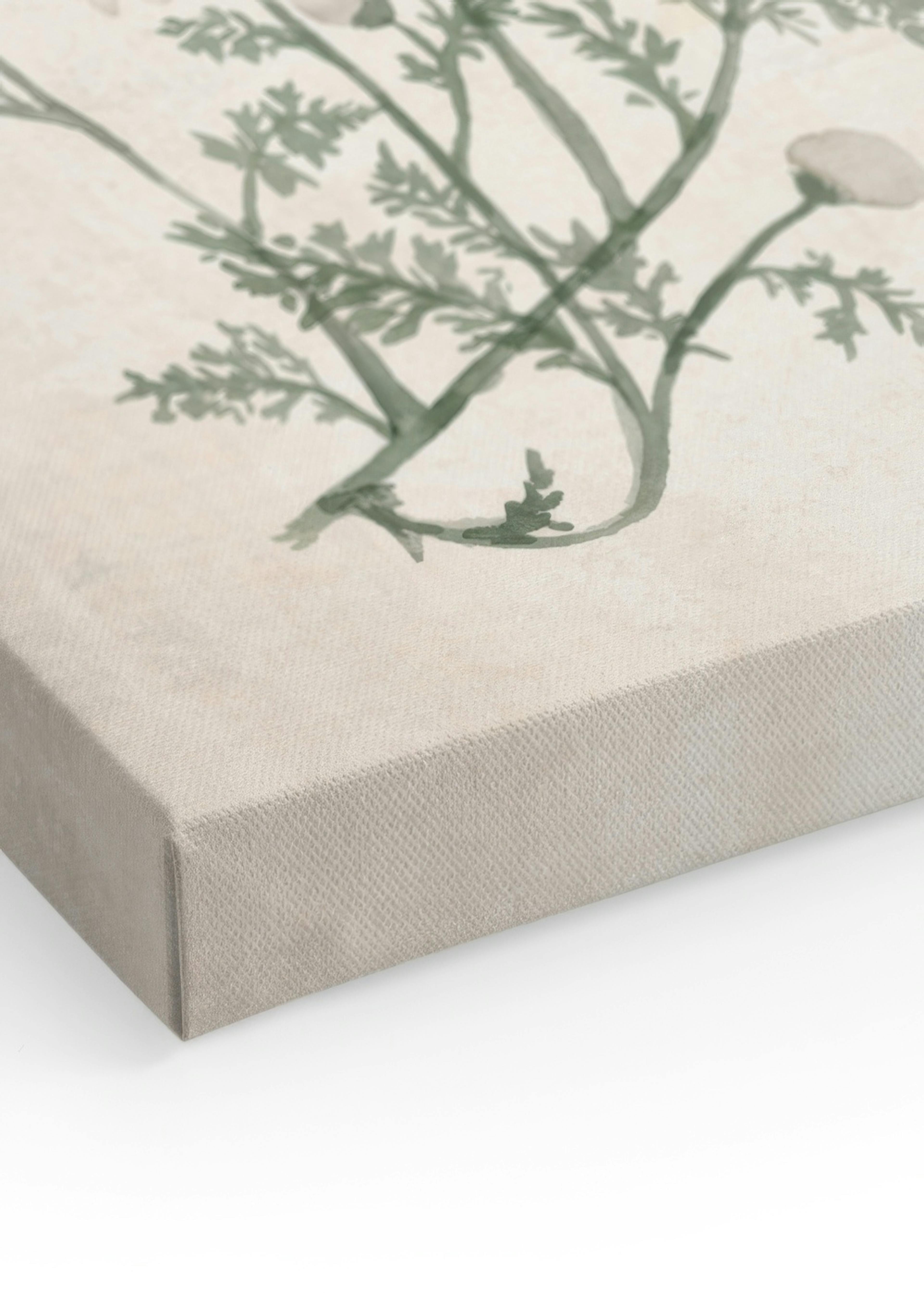 Herbs and Wildflowers Canvas print