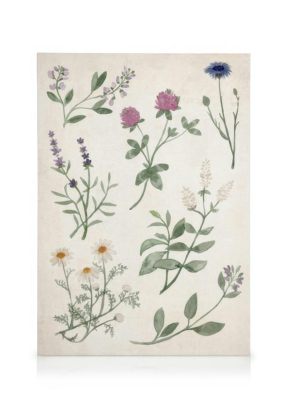Canvas Prints Herbs and Wildflowers Canvas print (30x40 cm - Oak Frame)