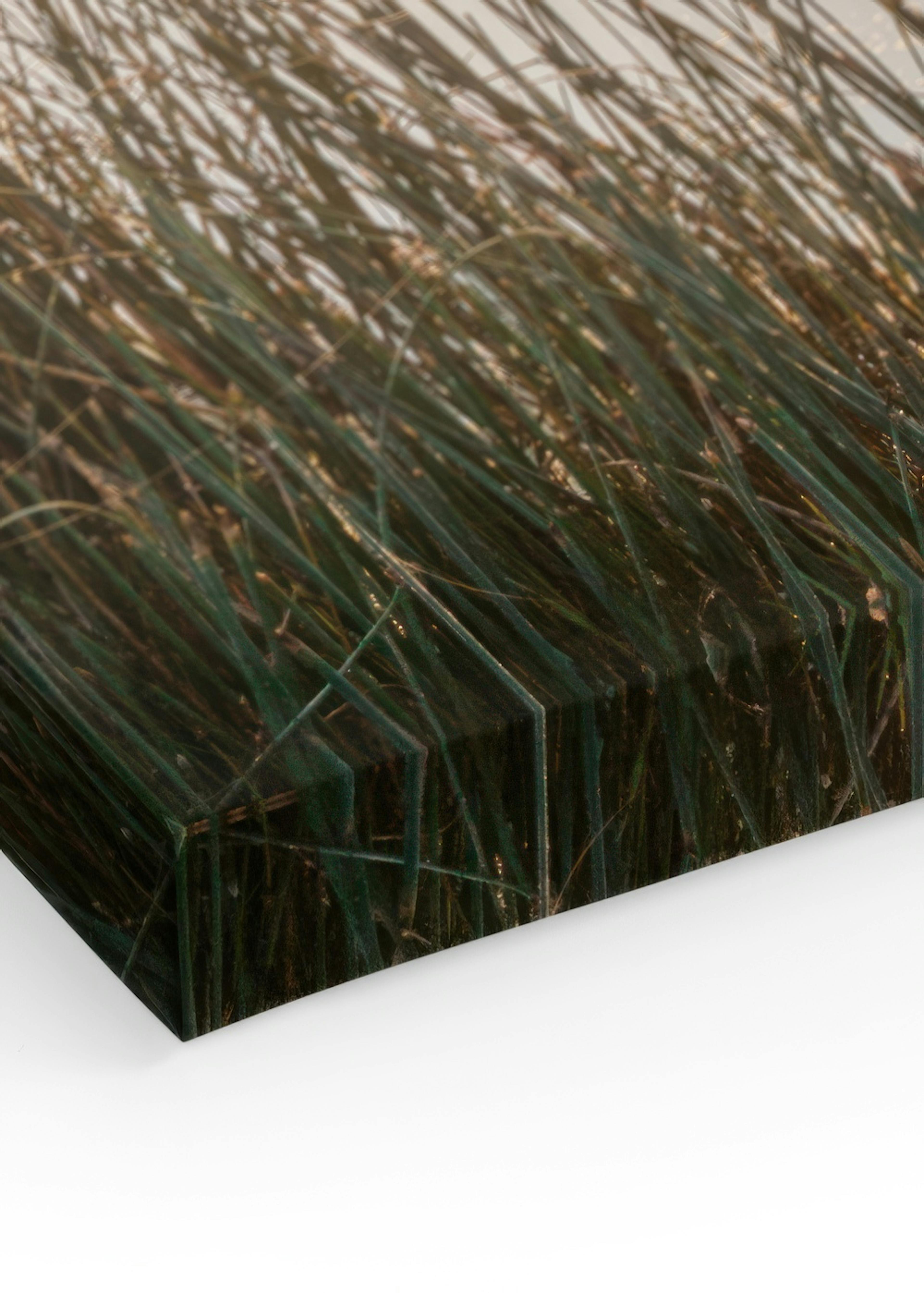 Product image: 3