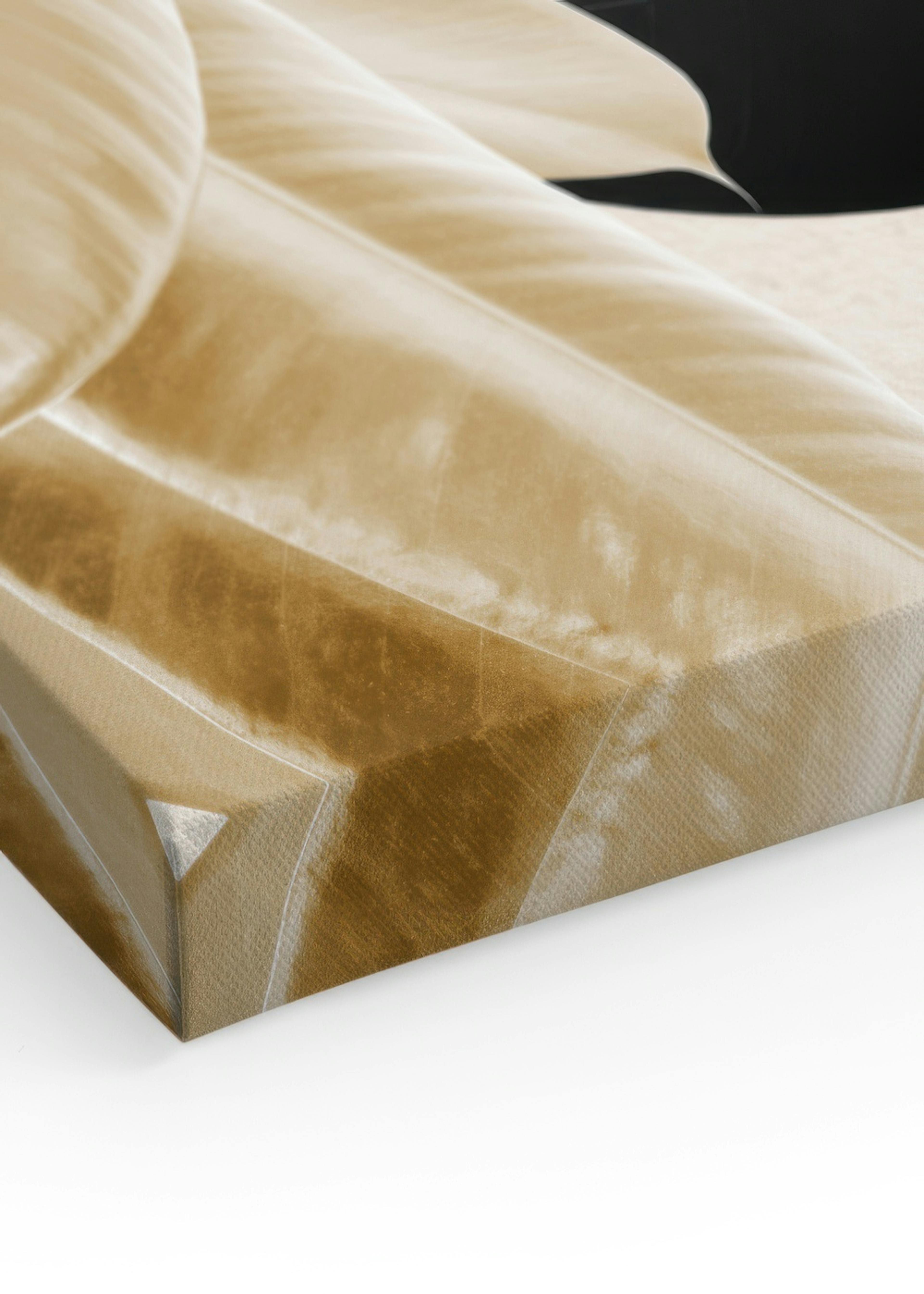 Gold and Black No1 Canvas