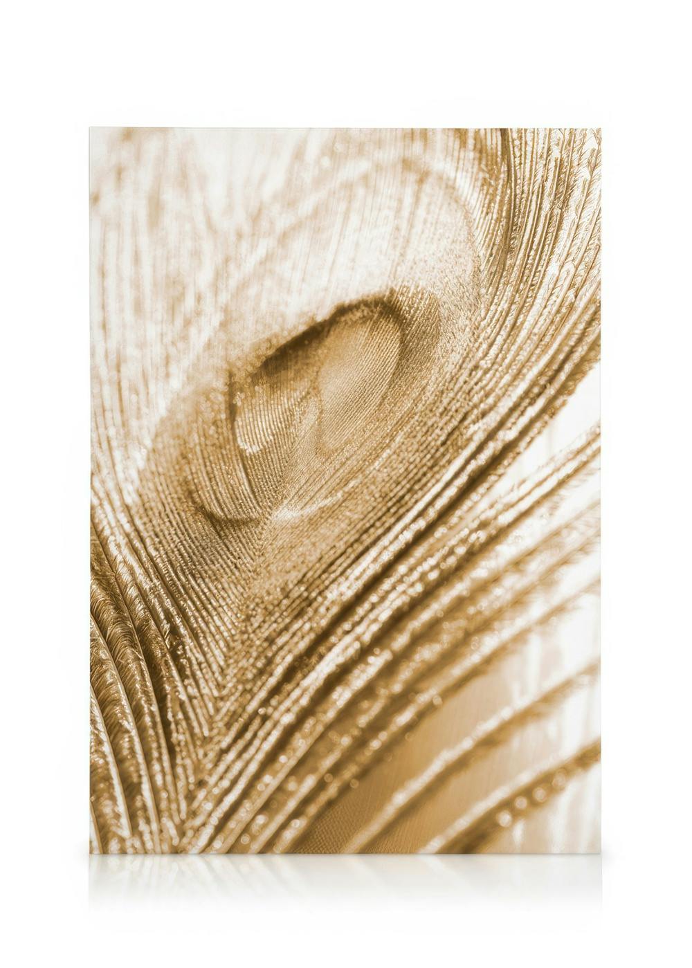 Golden Feather Lerret (50x70 cm)