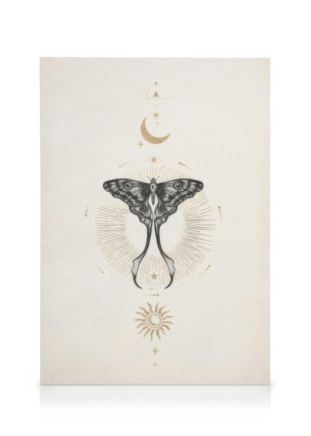 Obrazy na płótnie Moon Star Butterfly Obraz na płótnie (50x70 cm - Czarna ramka)