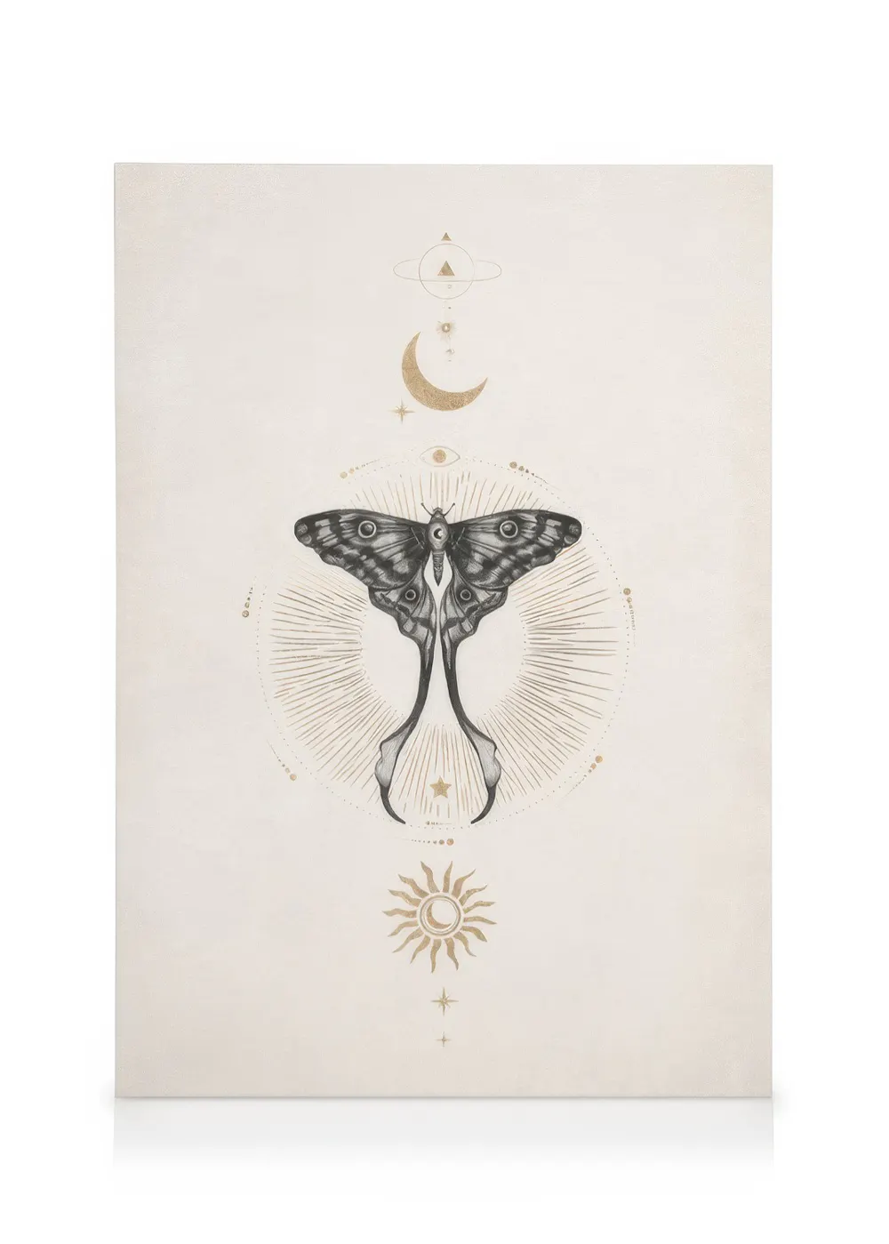 Tranh Illustrations Moon Star Butterfly Canvas print