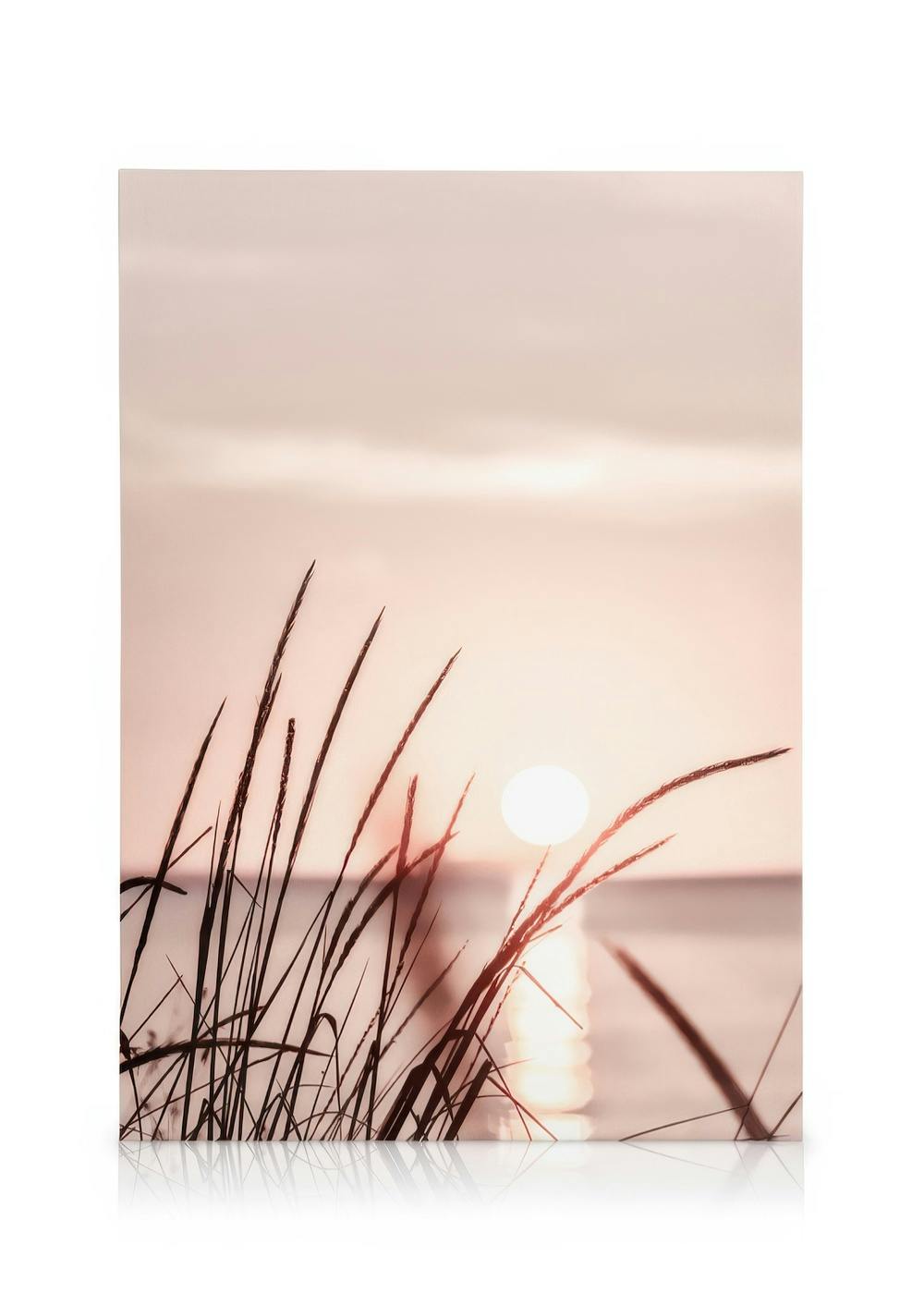 Sunset Grass Canvas (30x40 cm - Fotokaders Zwart)