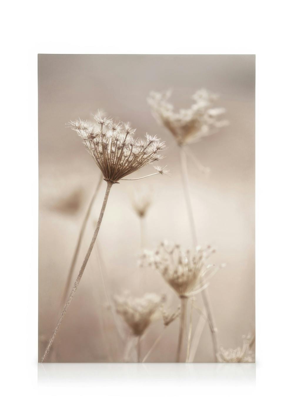 Canvas Prints Wildflowers in Beige Canvas print (50x70 cm - Black Frame)