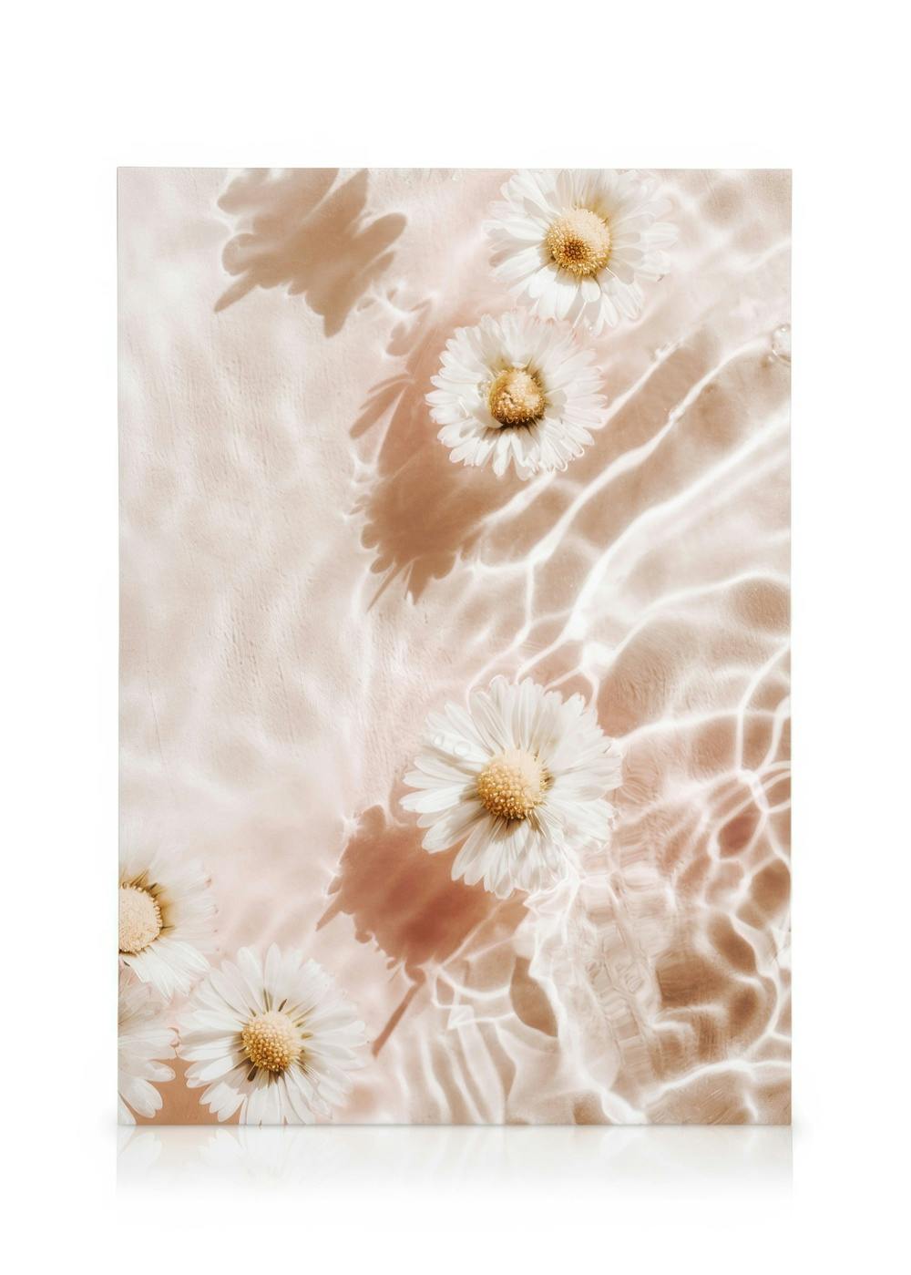 Margaritas blancas flotando sobre un fondo rosa pálido con reflejos de agua, creando una atmósfera tranquila.