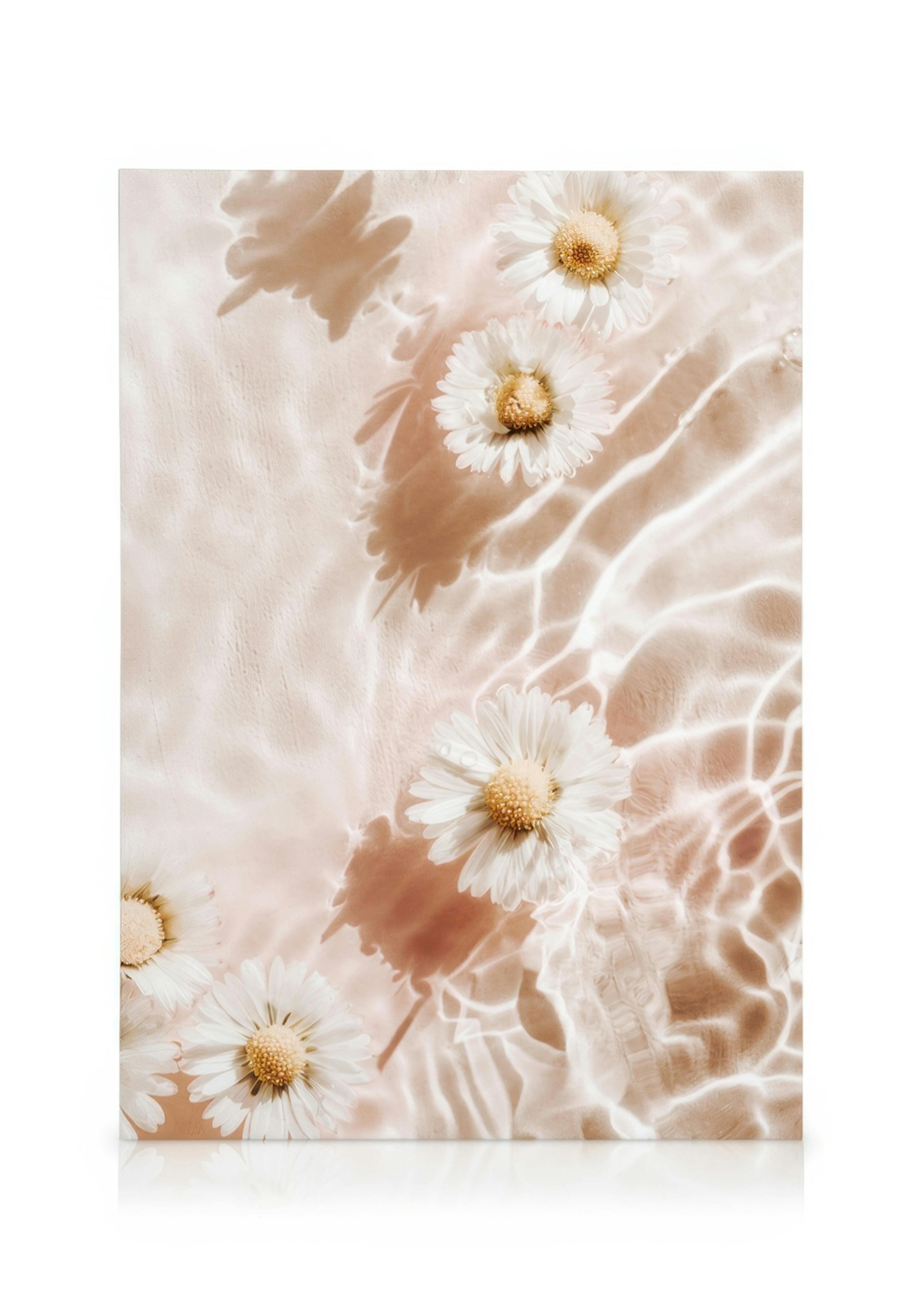 Margaritas blancas flotando sobre un fondo rosa pálido con reflejos de agua, creando una atmósfera tranquila.