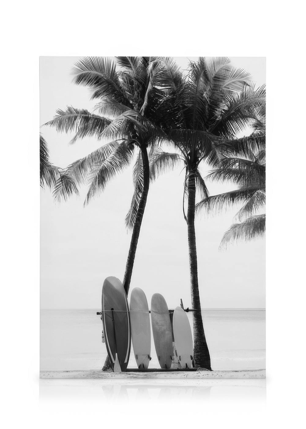 Canvas Schilderijen Surfboards BW Canvas (30x40 cm - Fotolijst Eiken)