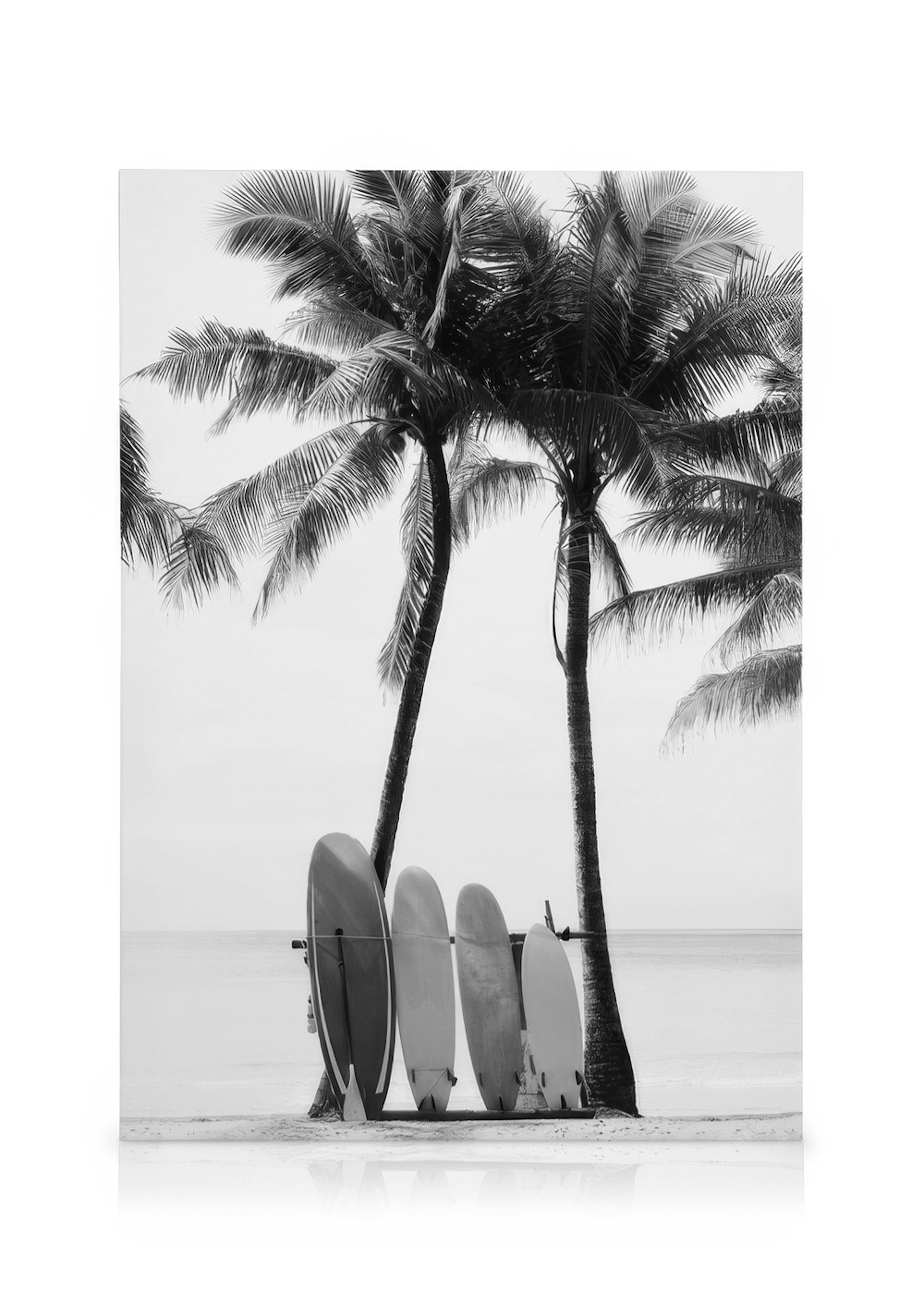 Surfboards BW Toile 0