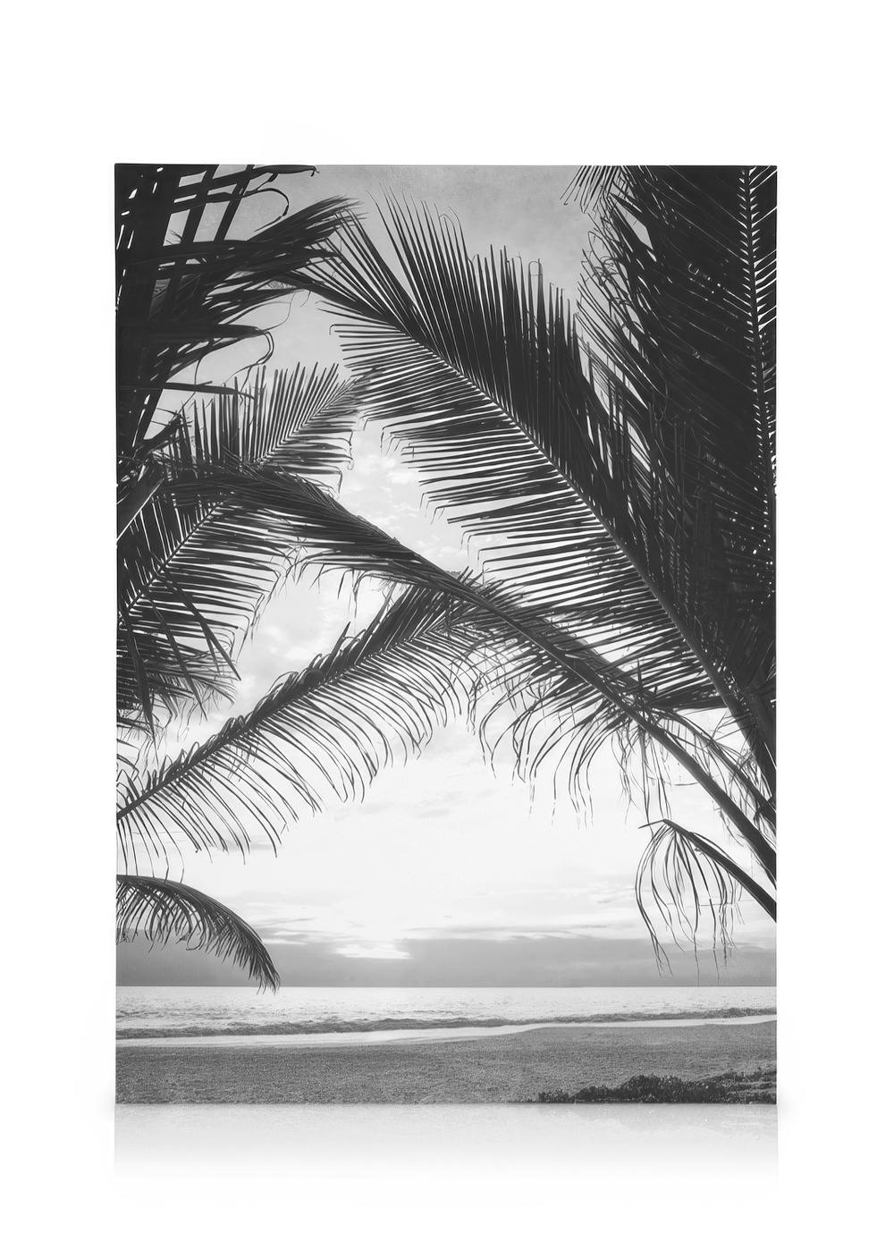Black and white canvas print showing palm leaves framing a serene ocean horizon with gentle sunlight.