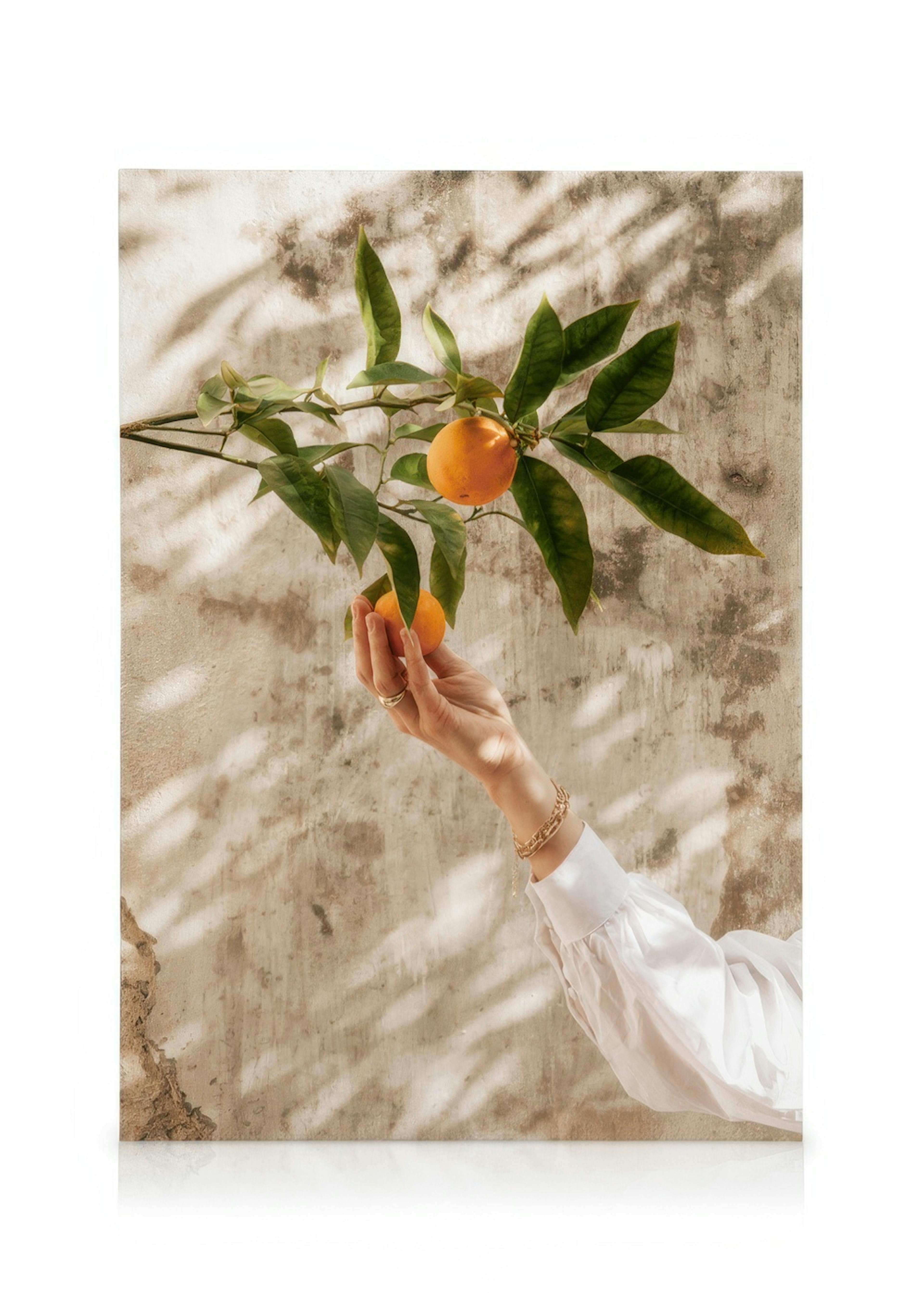 Picking Oranges Lærred 0
