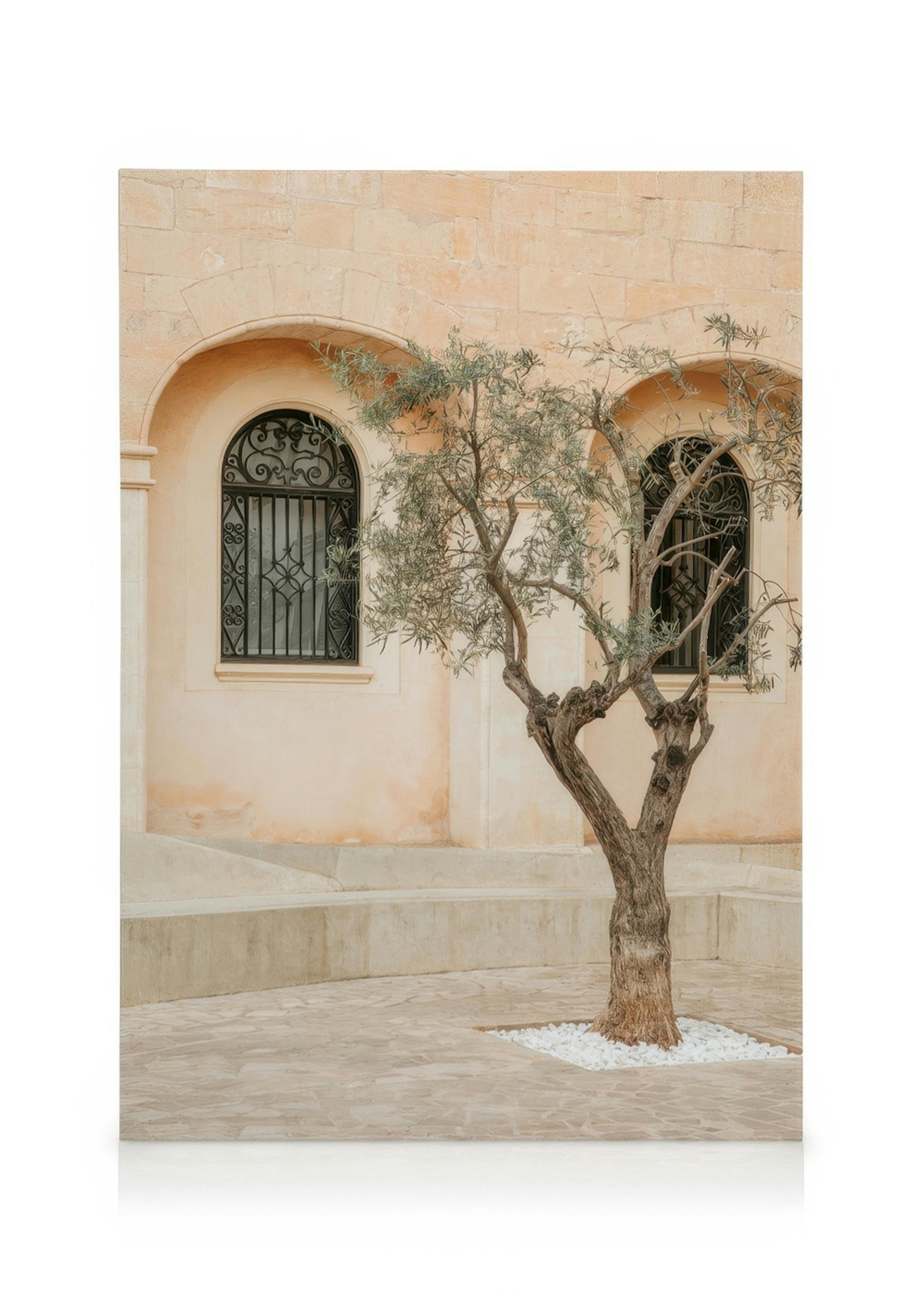 Lonely Olive Tree Leinwandbild 0
