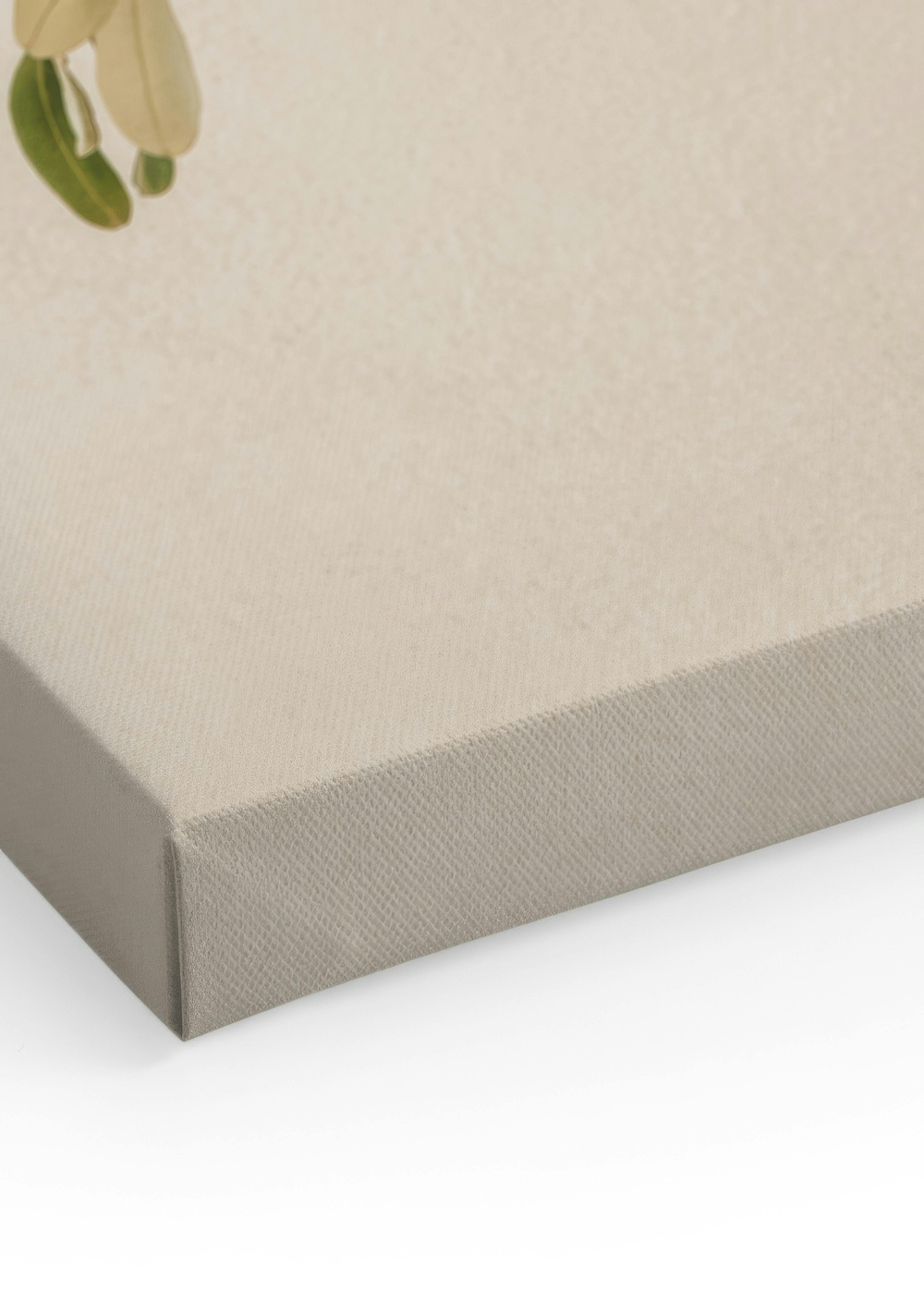 Mediterranean Olive Branch Canvas print