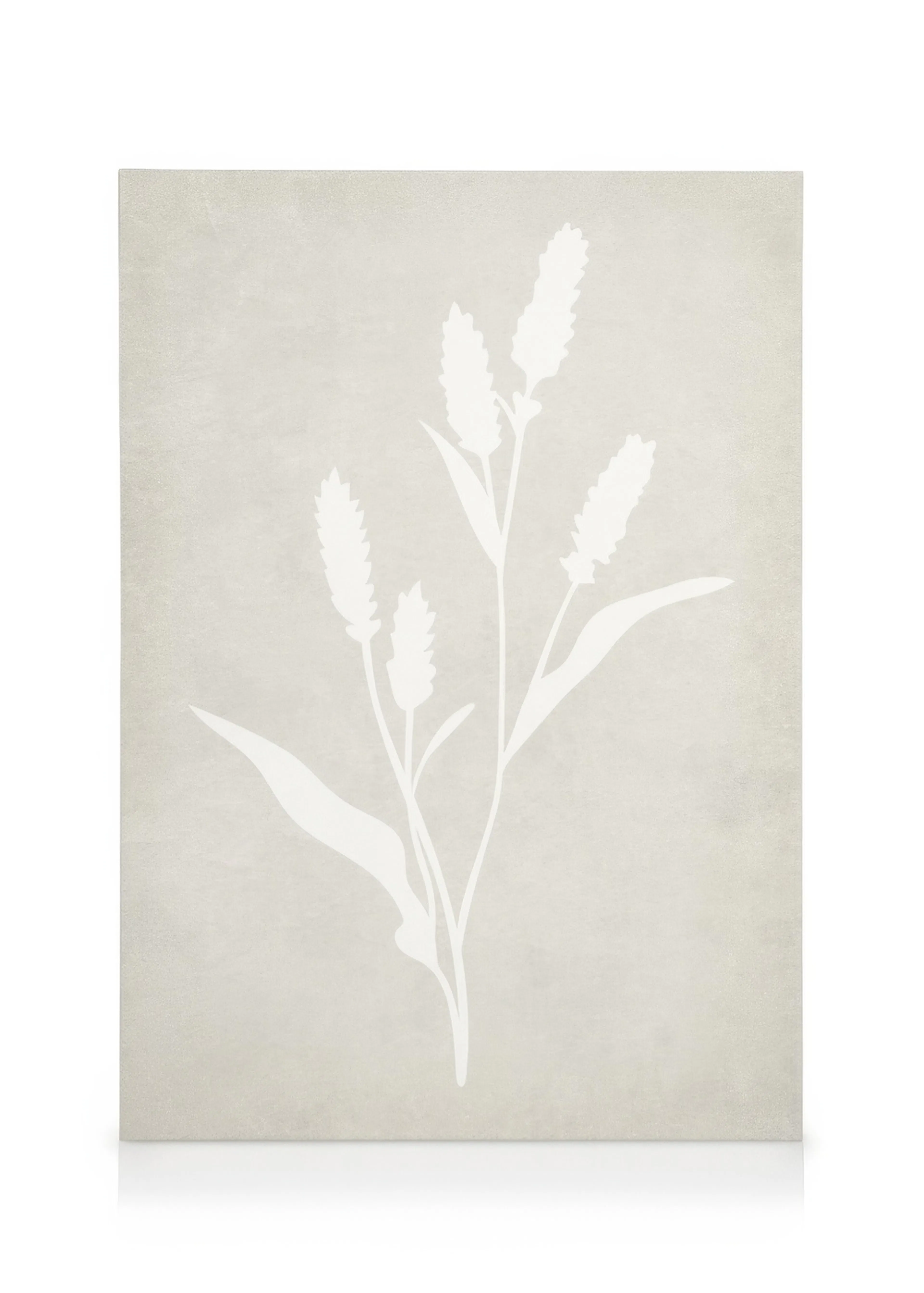 Tranh Illustrations Lavender Silhouette Canvas print