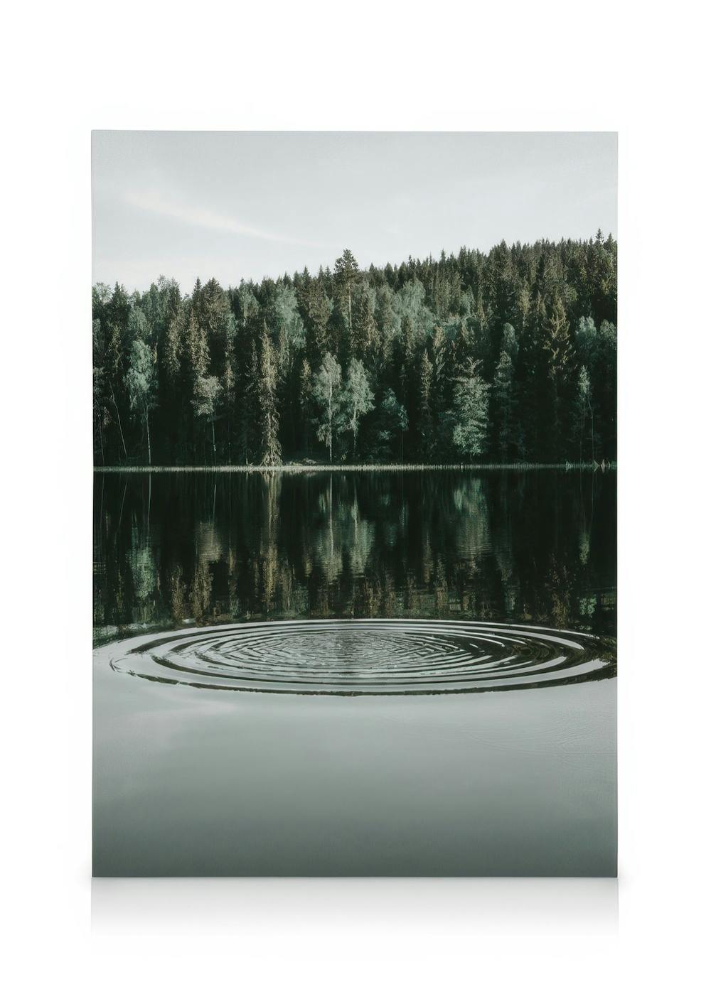 Canvas Prints Ripples on the Water Canvas print (30x40 cm)