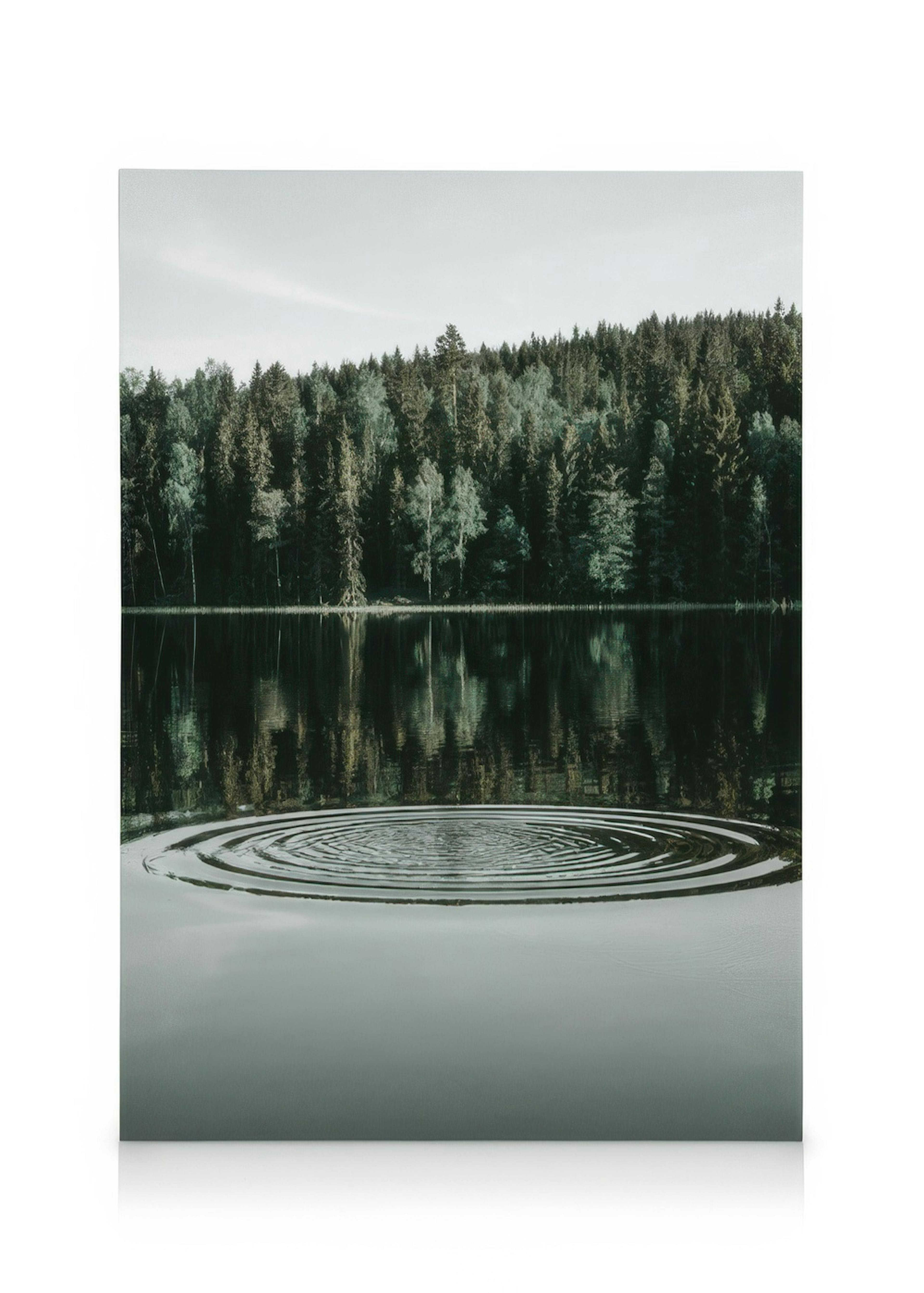 Ripples on the Water Canvas 0