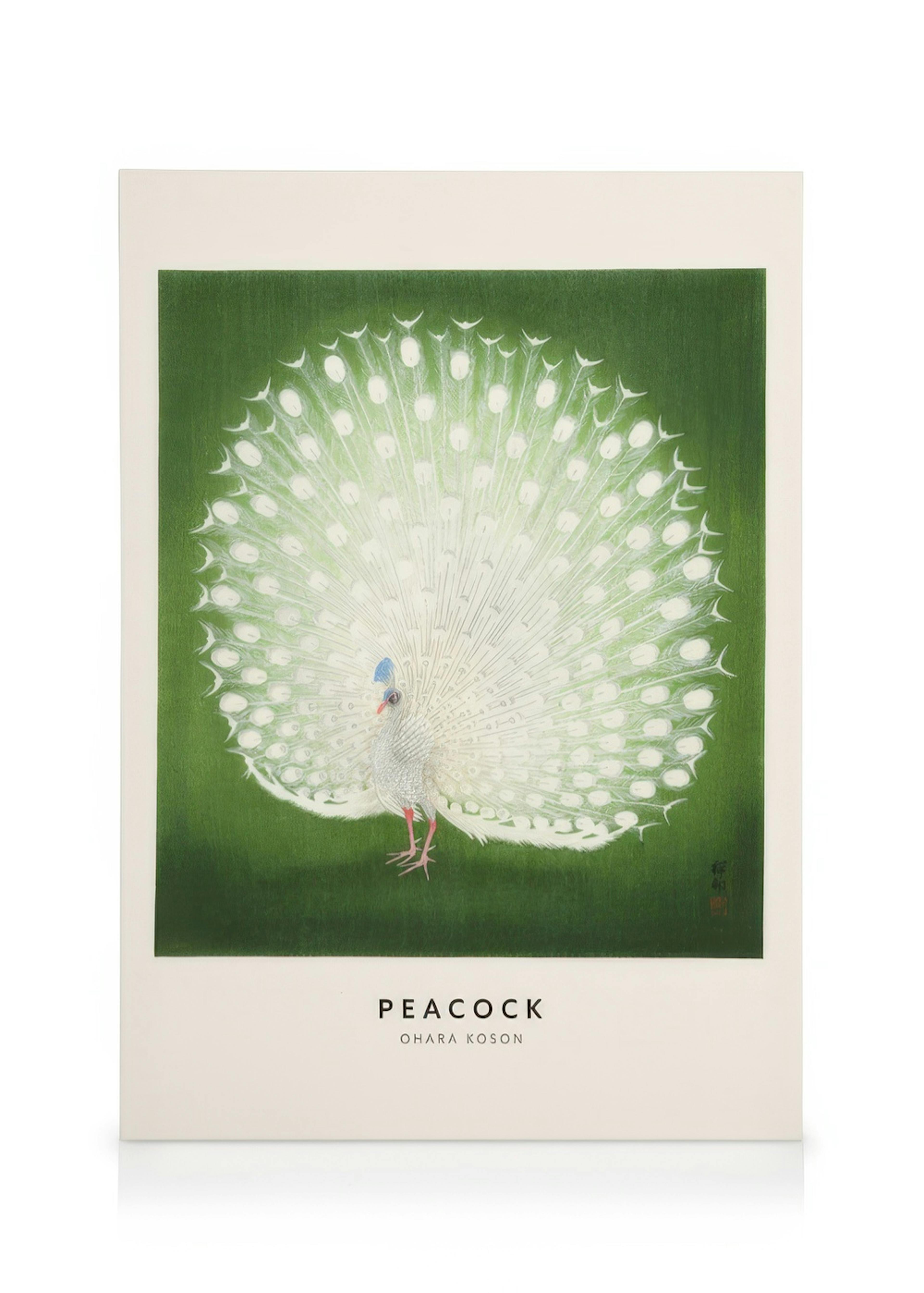 Ohara Koson - Peacock Canvas print 0