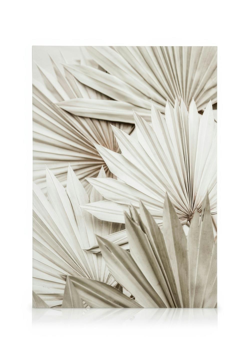 Telas decorativas White Palm Quadro em tela (50x70 cm - Moldura Preta)