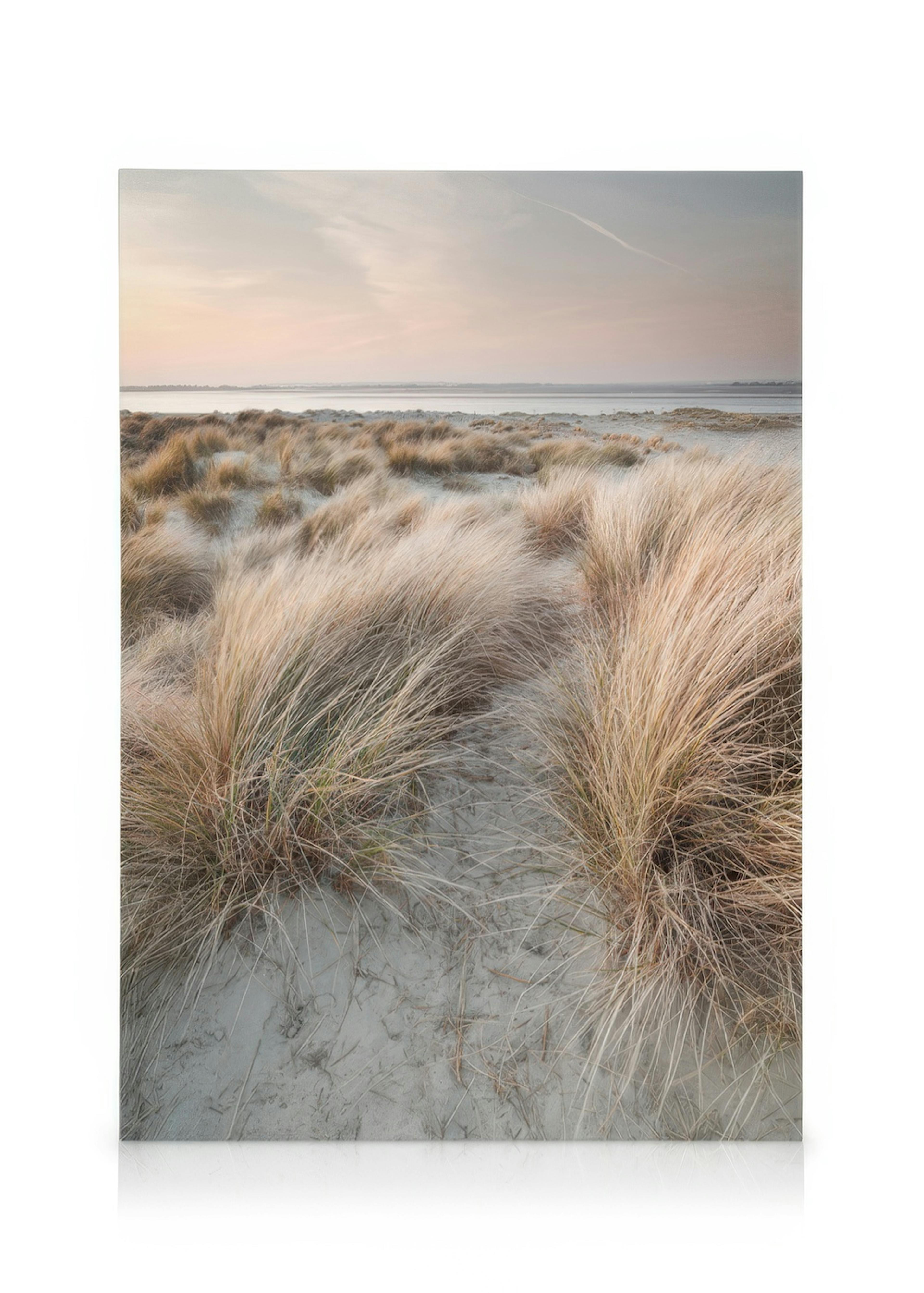 Calm Sand Dunes Lienzo 0