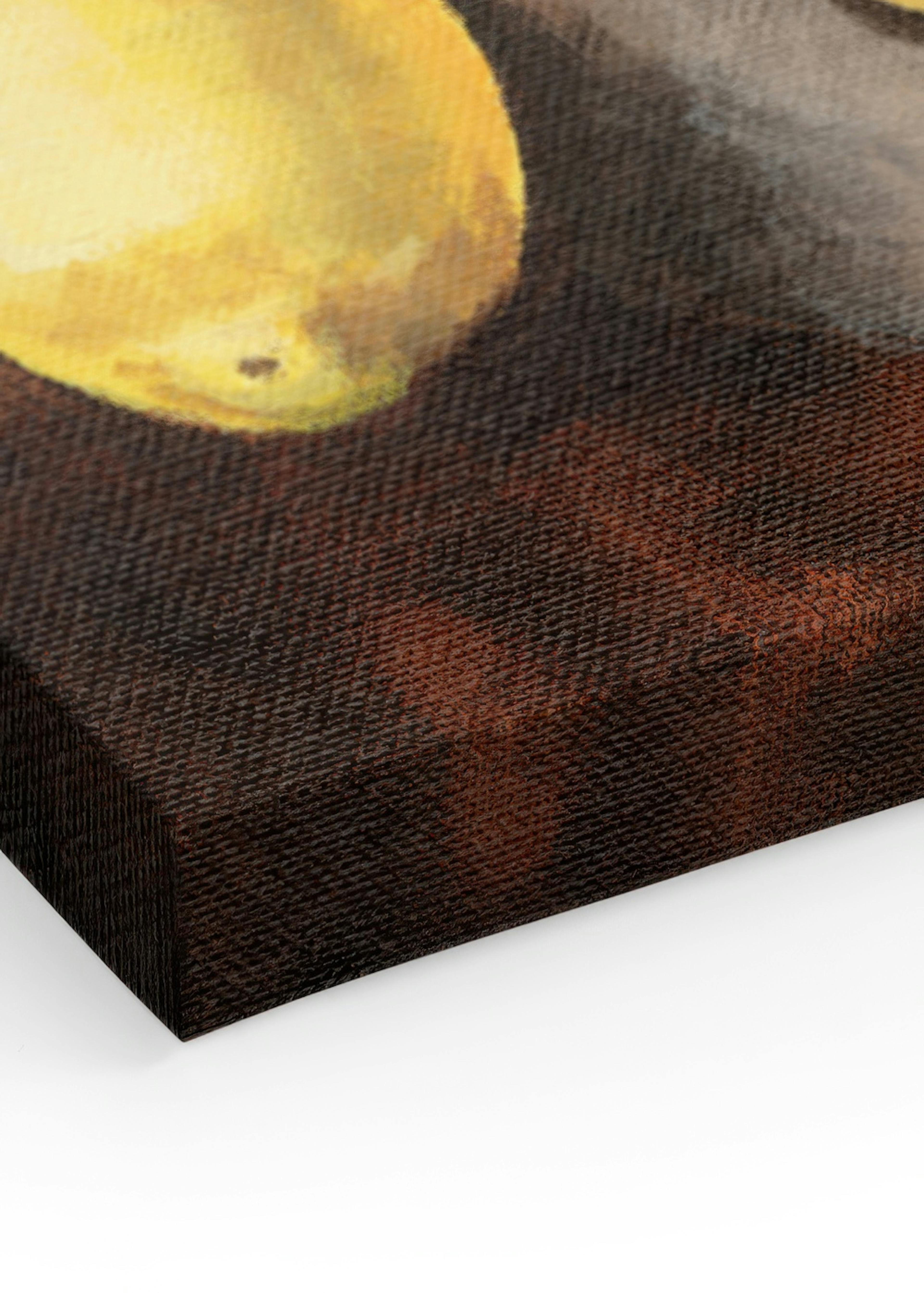 The Still Life Collection No1 Canvas