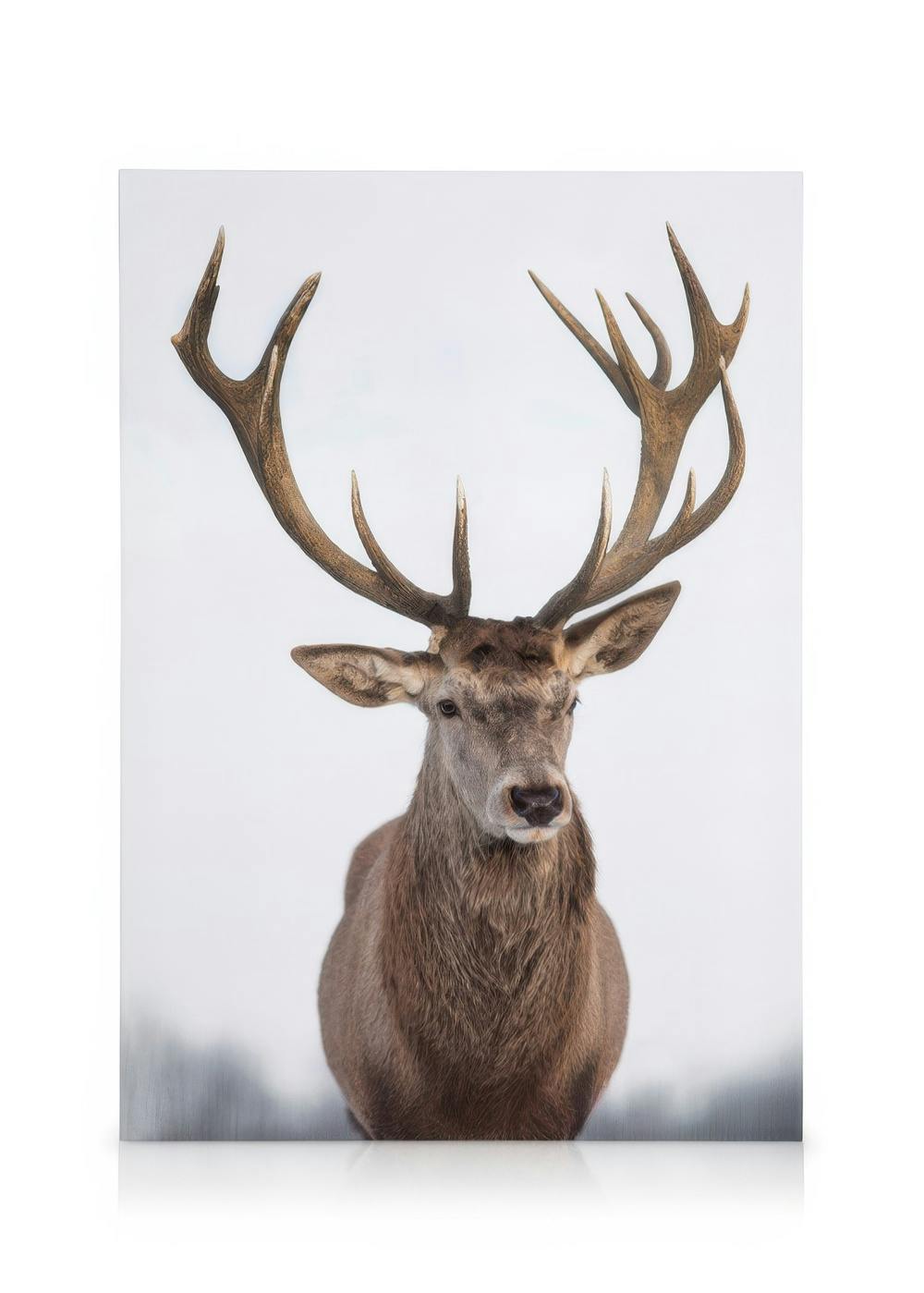 Canvastavlor Majestic Deer Canvastavla (30x40 cm - Svart ram)