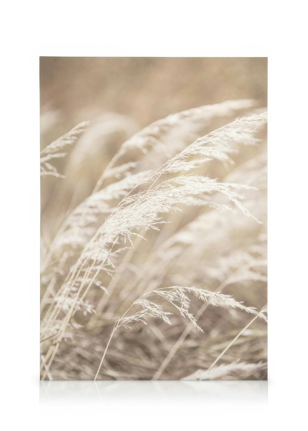 Canvas Prints Dried Grass on Field No4 Canvas print (50x70 cm - Oak Frame)